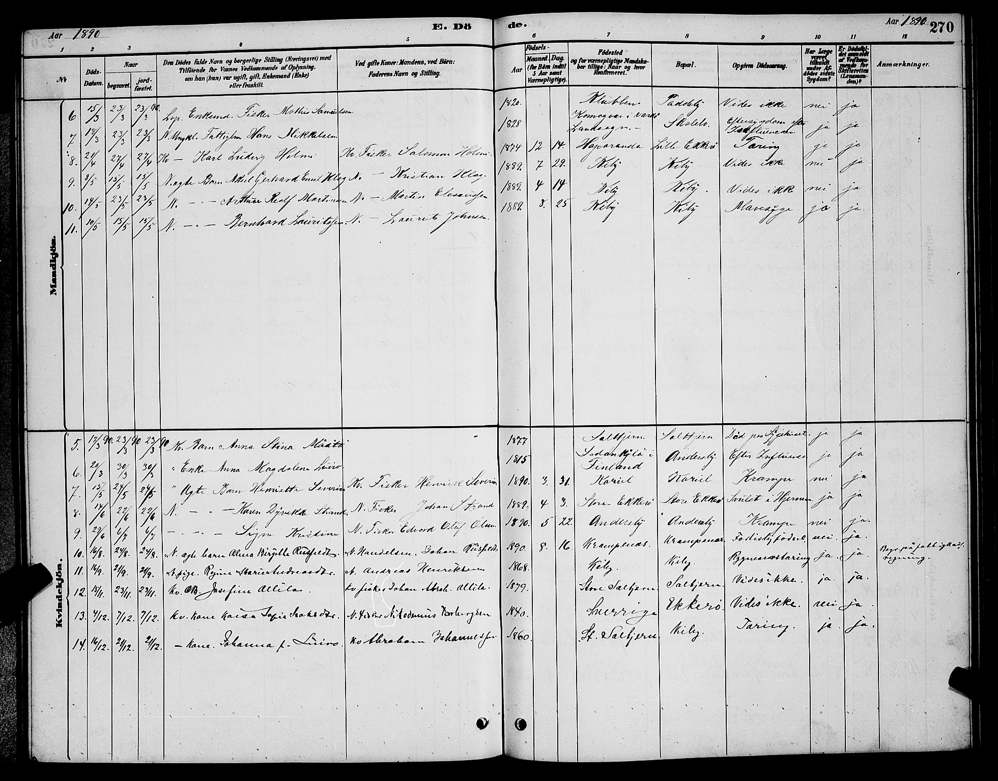 Vadsø sokneprestkontor, SATØ/S-1325/H/Hb/L0003klokker: Parish register (copy) no. 3, 1881-1901, p. 270