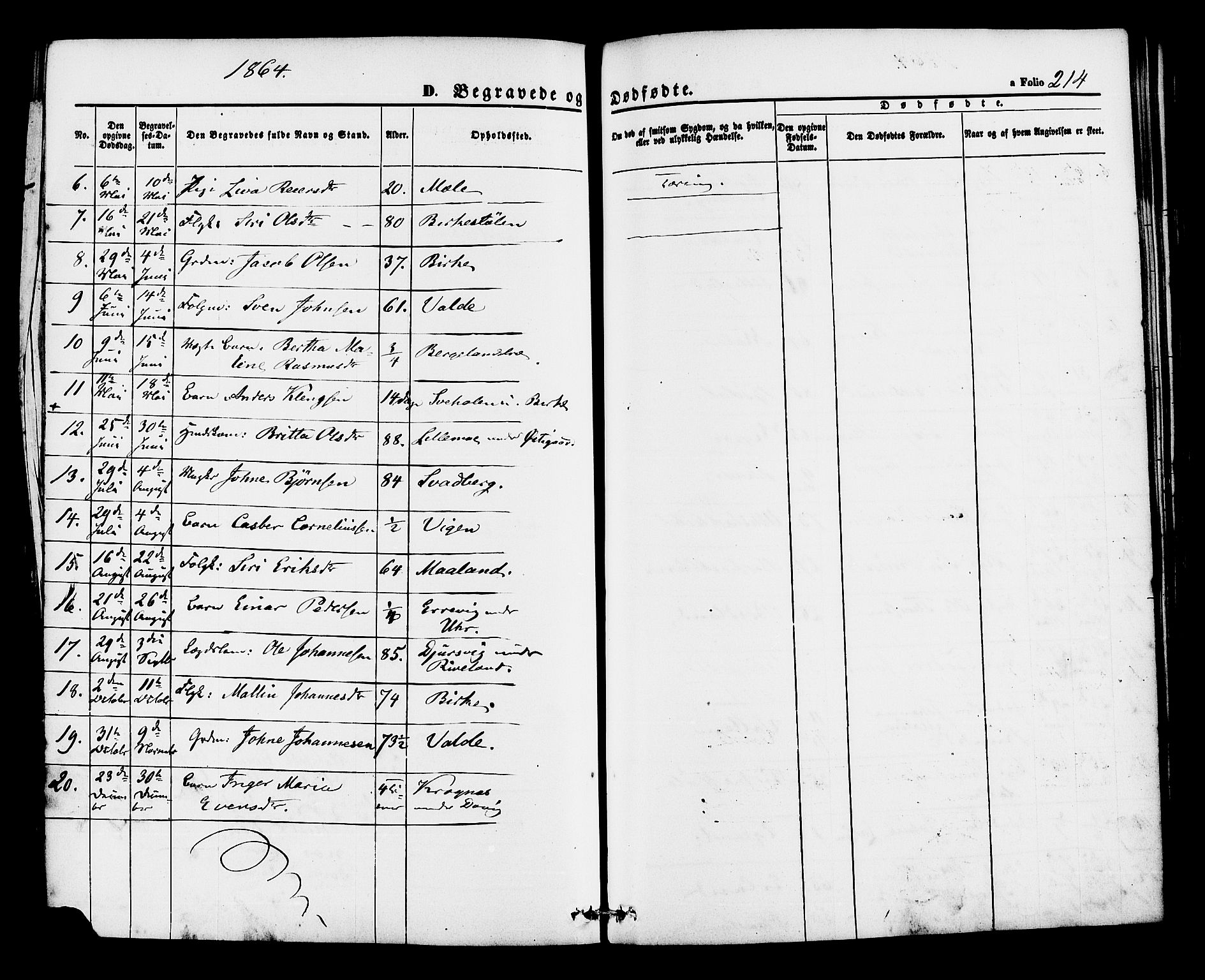 Hjelmeland sokneprestkontor, AV/SAST-A-101843/01/IV/L0012: Parish register (official) no. A 12, 1862-1886, p. 214