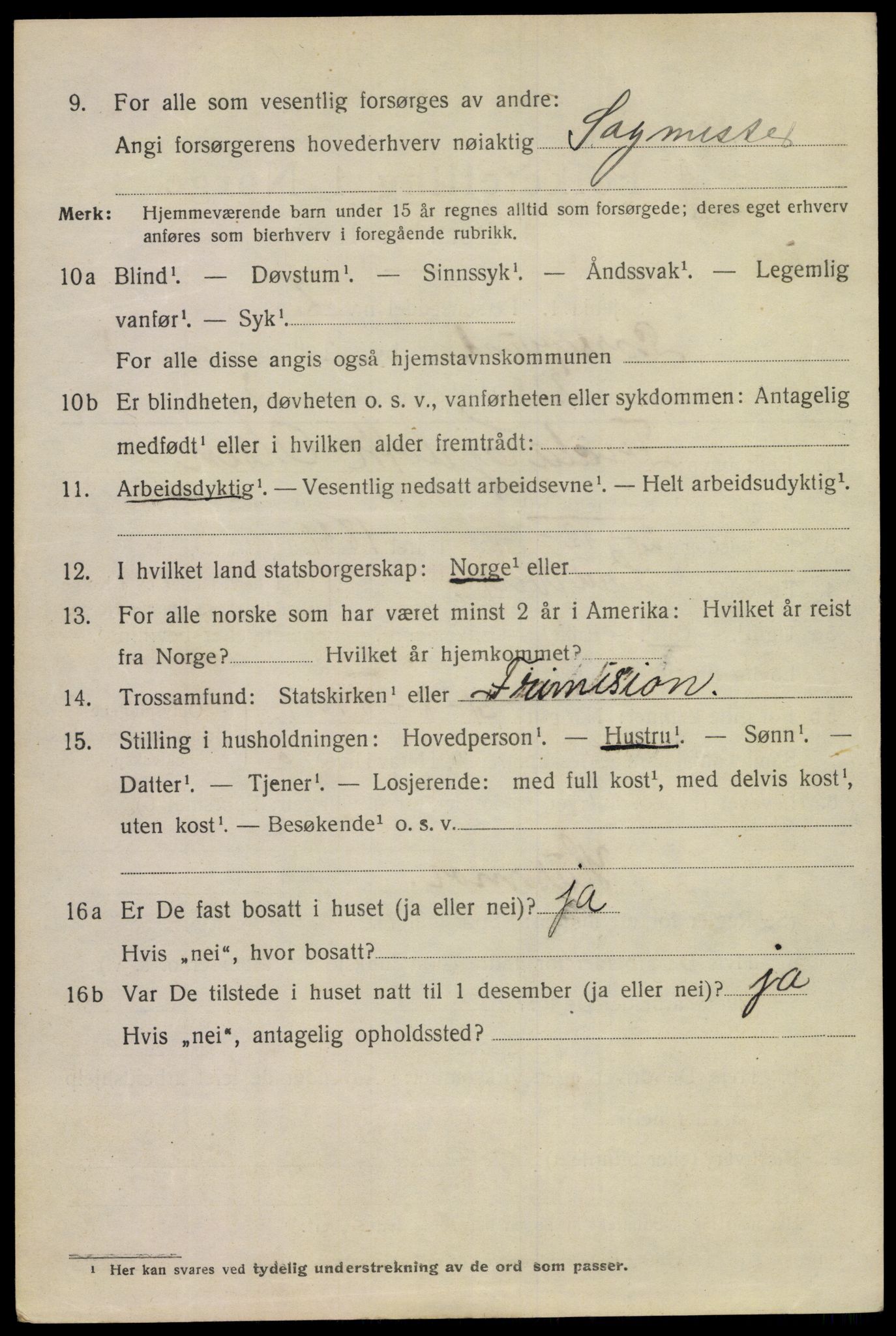 SAKO, 1920 census for Porsgrunn, 1920, p. 17314