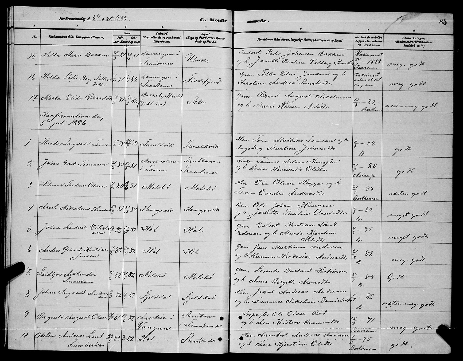 Ministerialprotokoller, klokkerbøker og fødselsregistre - Nordland, AV/SAT-A-1459/865/L0931: Parish register (copy) no. 865C03, 1885-1901, p. 85