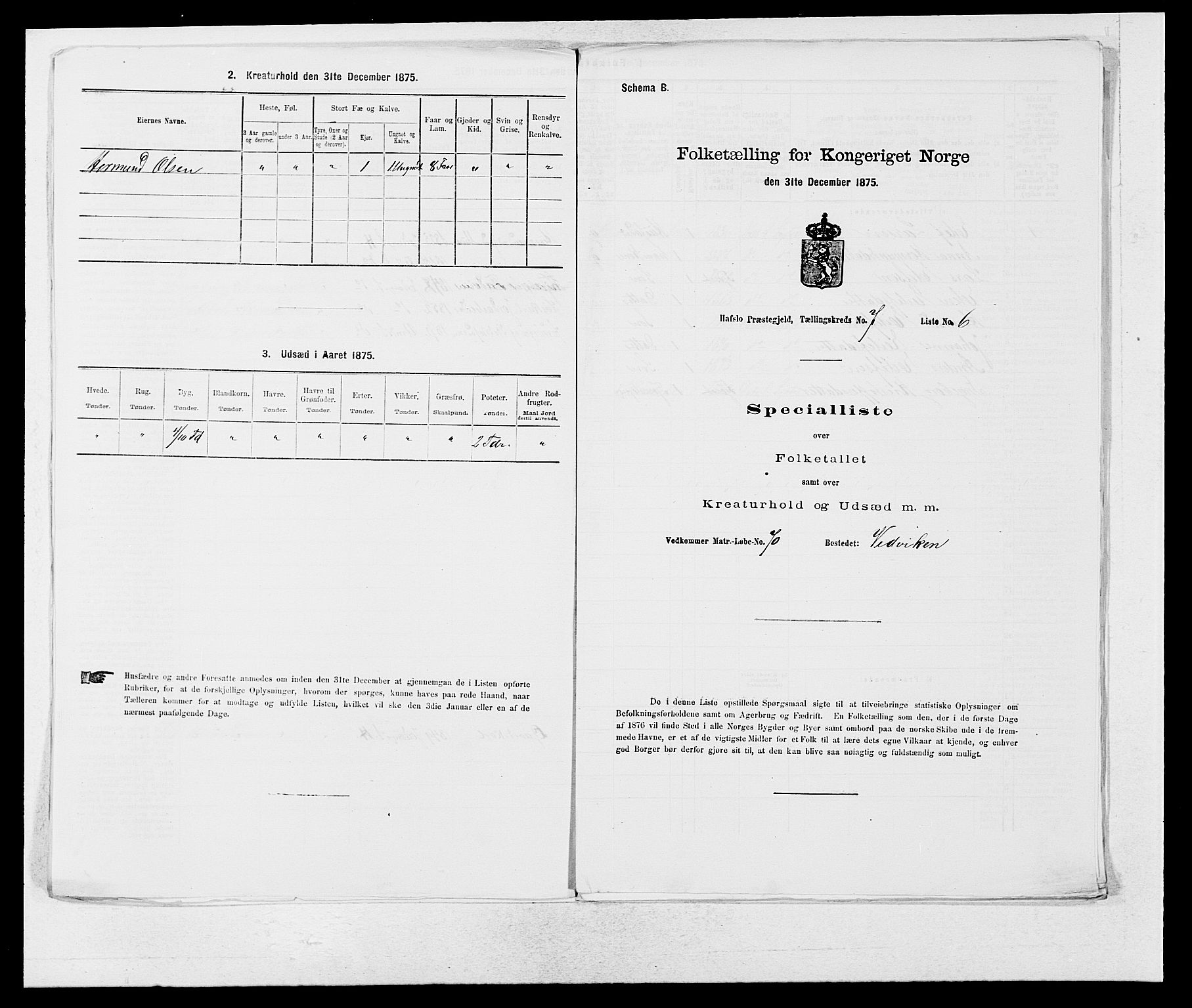 SAB, 1875 census for 1425P Hafslo, 1875, p. 828