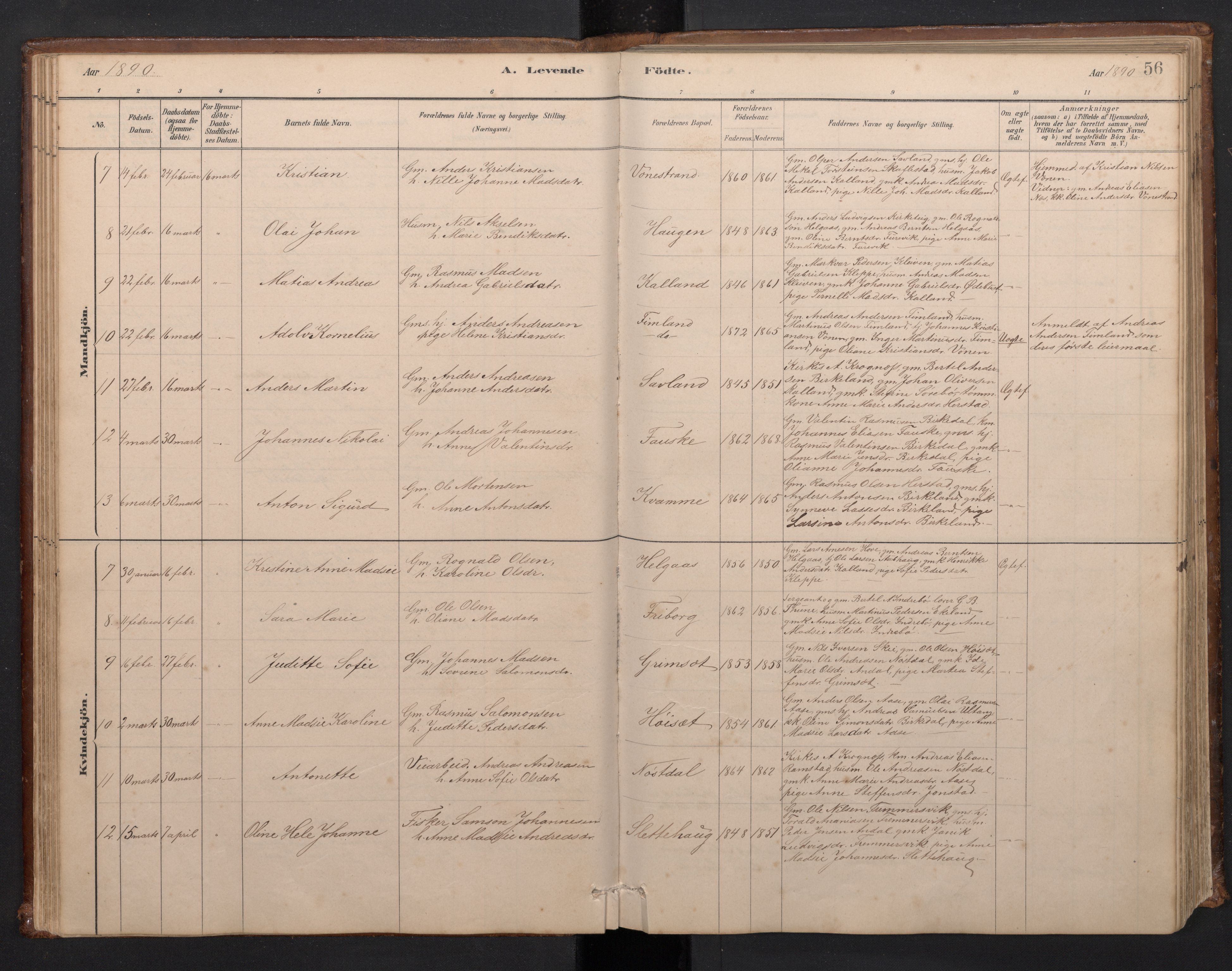 Førde sokneprestembete, SAB/A-79901/H/Hab/Habd/L0003: Parish register (copy) no. D 3, 1881-1897, p. 55b-56a