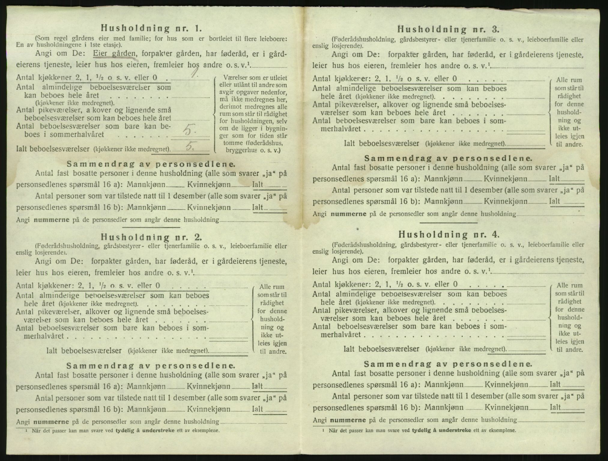 SAKO, 1920 census for Brunlanes, 1920, p. 490