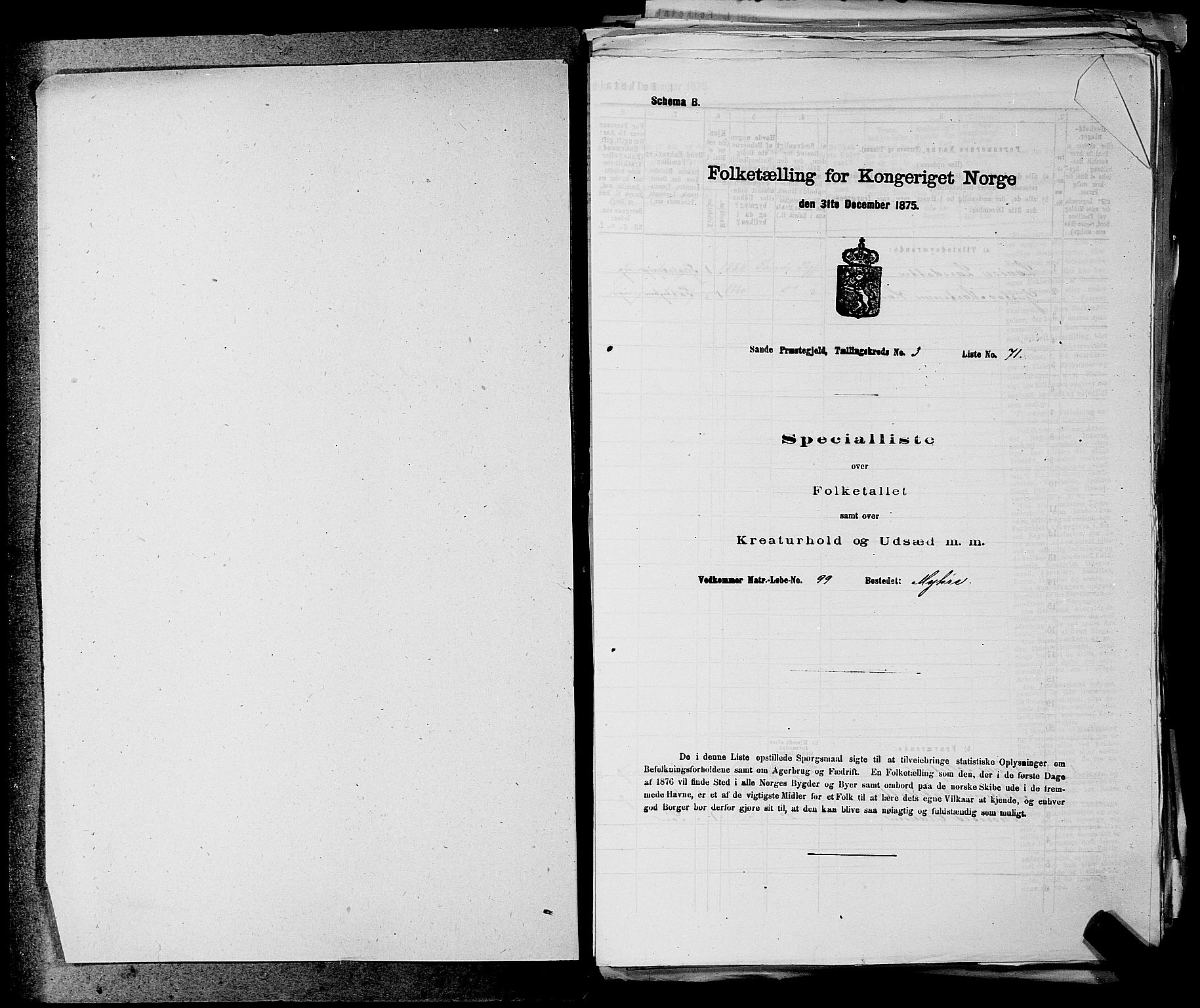 SAKO, 1875 census for 0713P Sande, 1875, p. 465