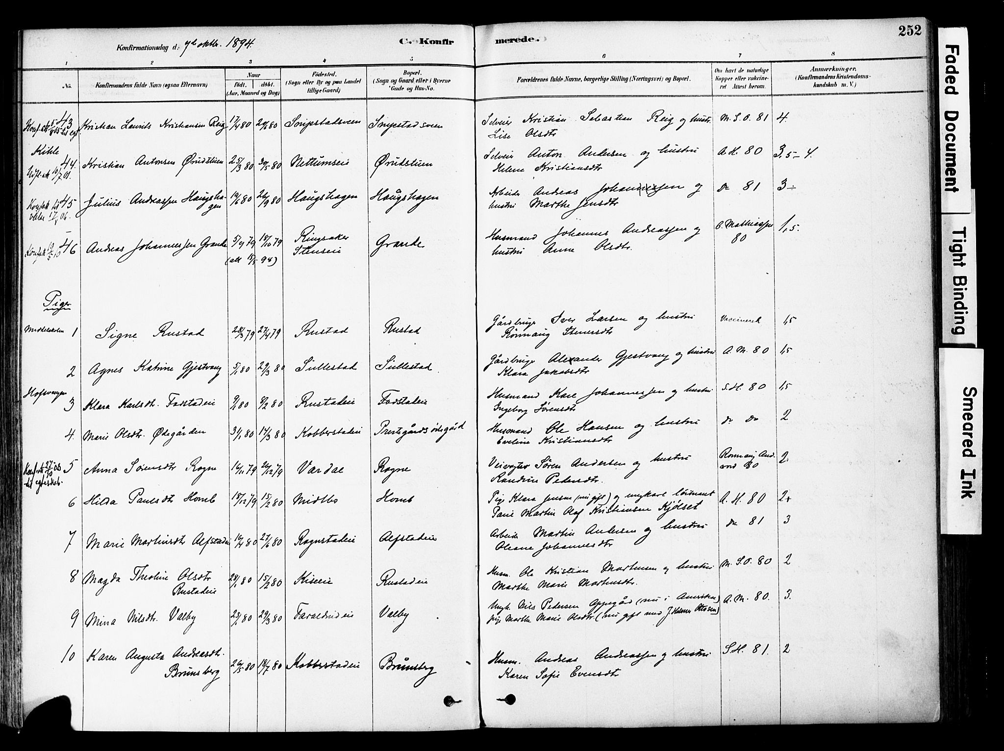 Østre Toten prestekontor, AV/SAH-PREST-104/H/Ha/Haa/L0006: Parish register (official) no. 6 /1, 1878-1896, p. 252