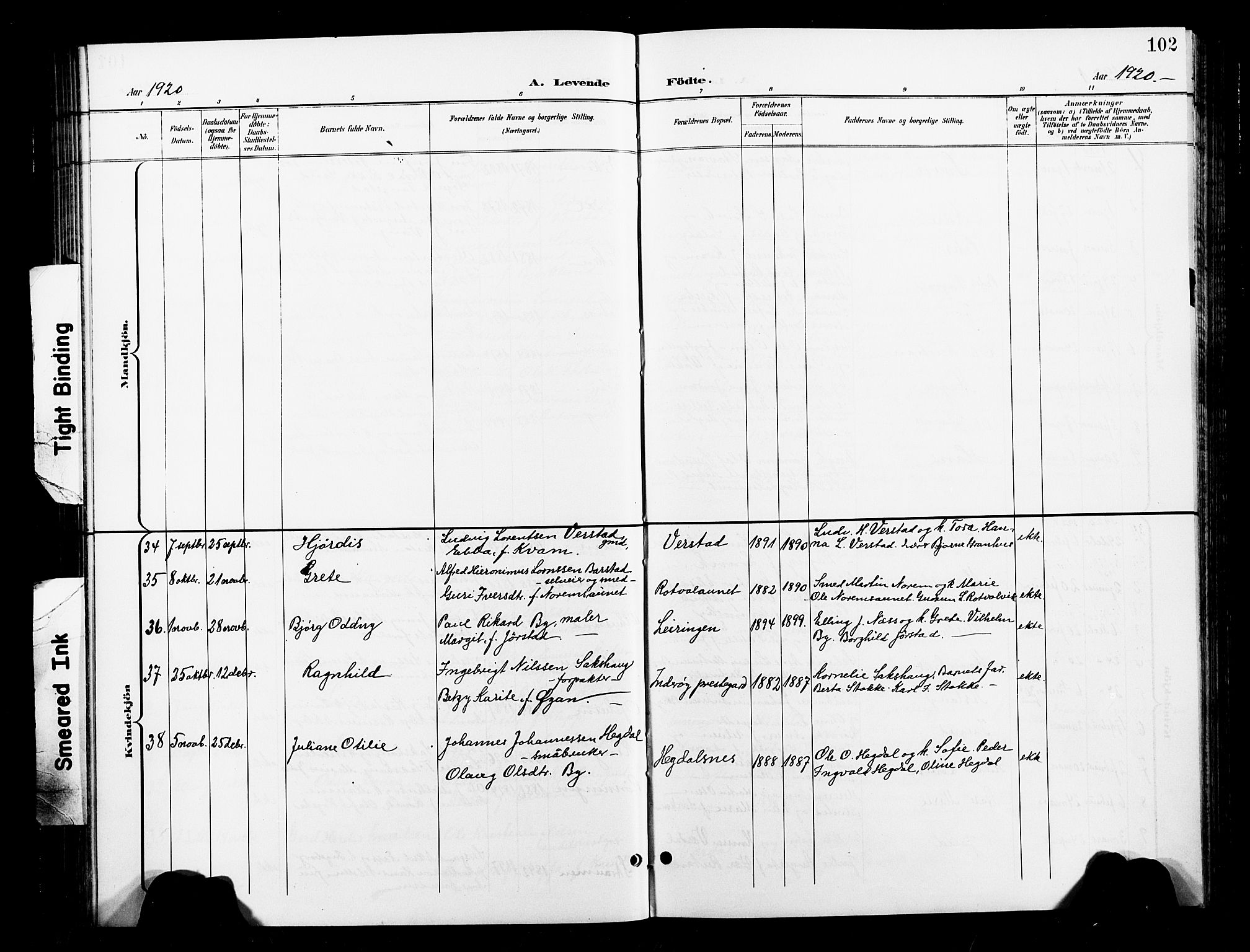 Ministerialprotokoller, klokkerbøker og fødselsregistre - Nord-Trøndelag, AV/SAT-A-1458/730/L0302: Parish register (copy) no. 730C05, 1898-1924, p. 102