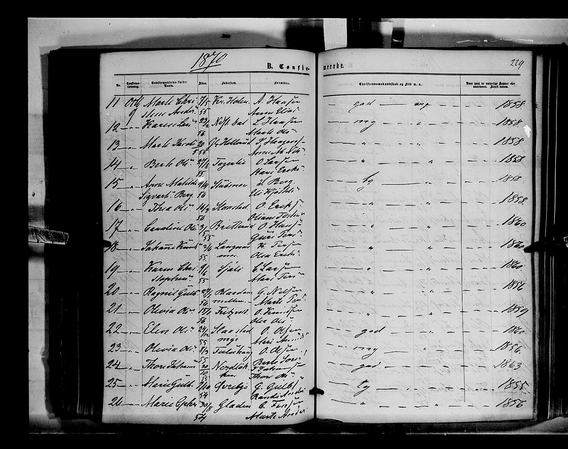 Sør-Odal prestekontor, AV/SAH-PREST-030/H/Ha/Haa/L0003: Parish register (official) no. 3, 1864-1870, p. 229