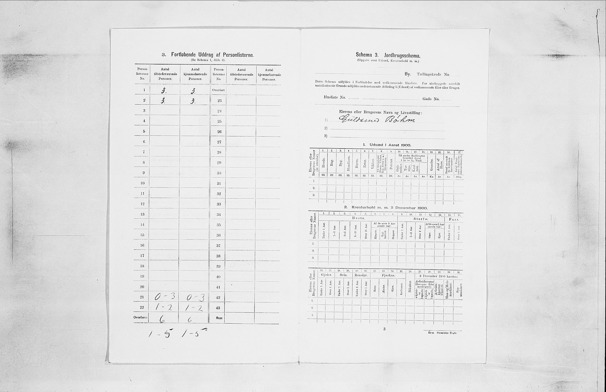 SAO, 1900 census for Moss, 1900