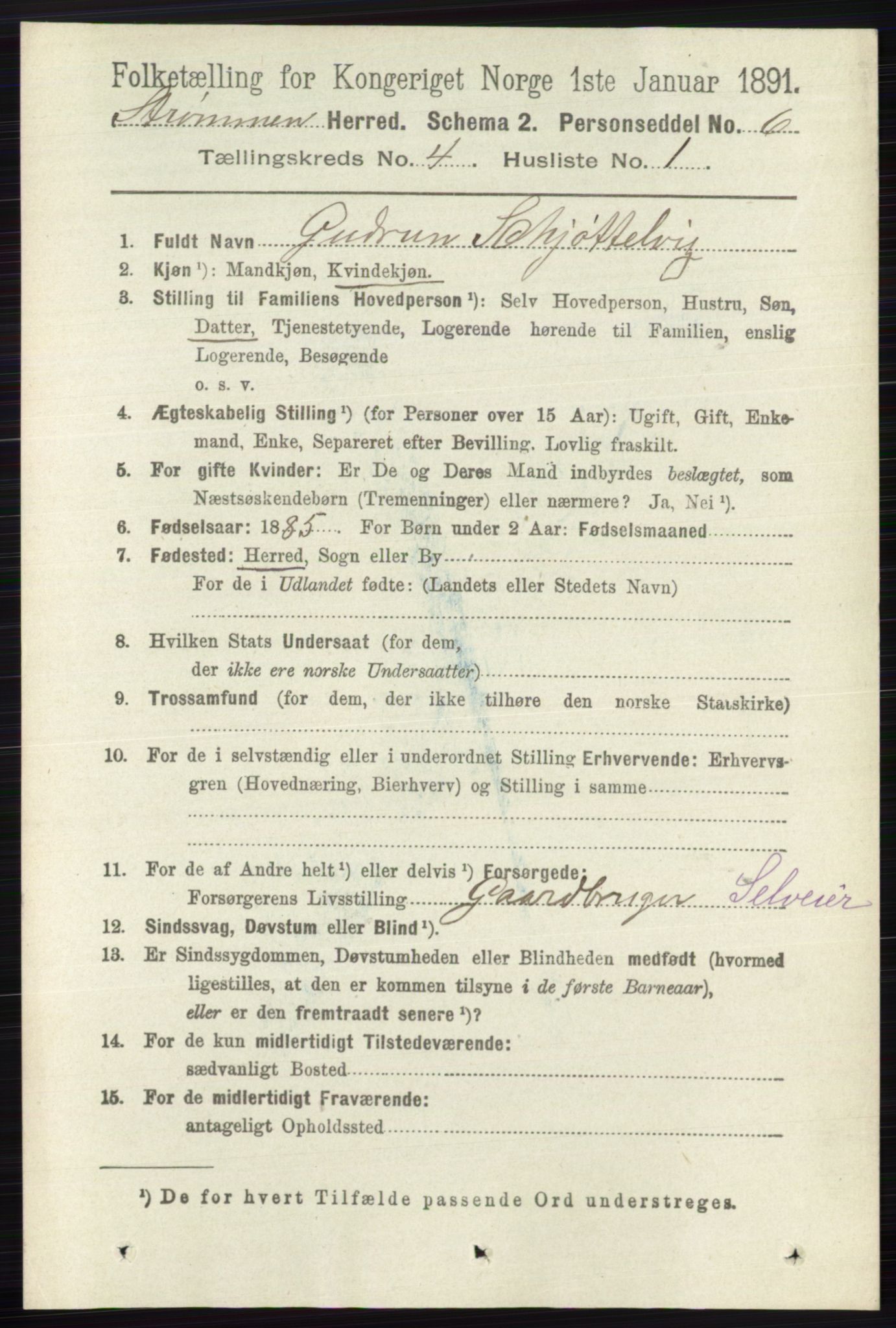 RA, 1891 census for 0711 Strømm, 1891, p. 1586