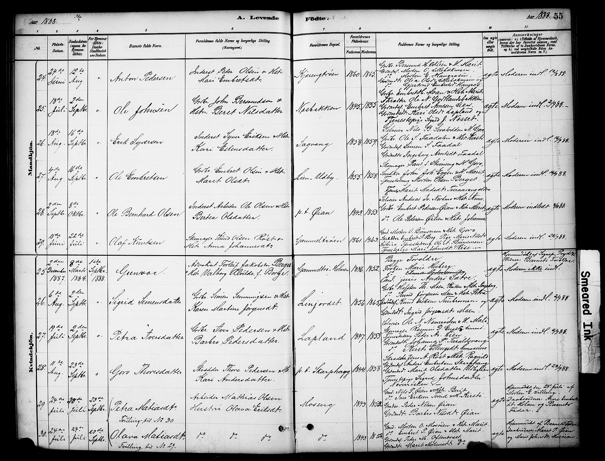 Tynset prestekontor, SAH/PREST-058/H/Ha/Hab/L0006: Parish register (copy) no. 6, 1880-1899, p. 55