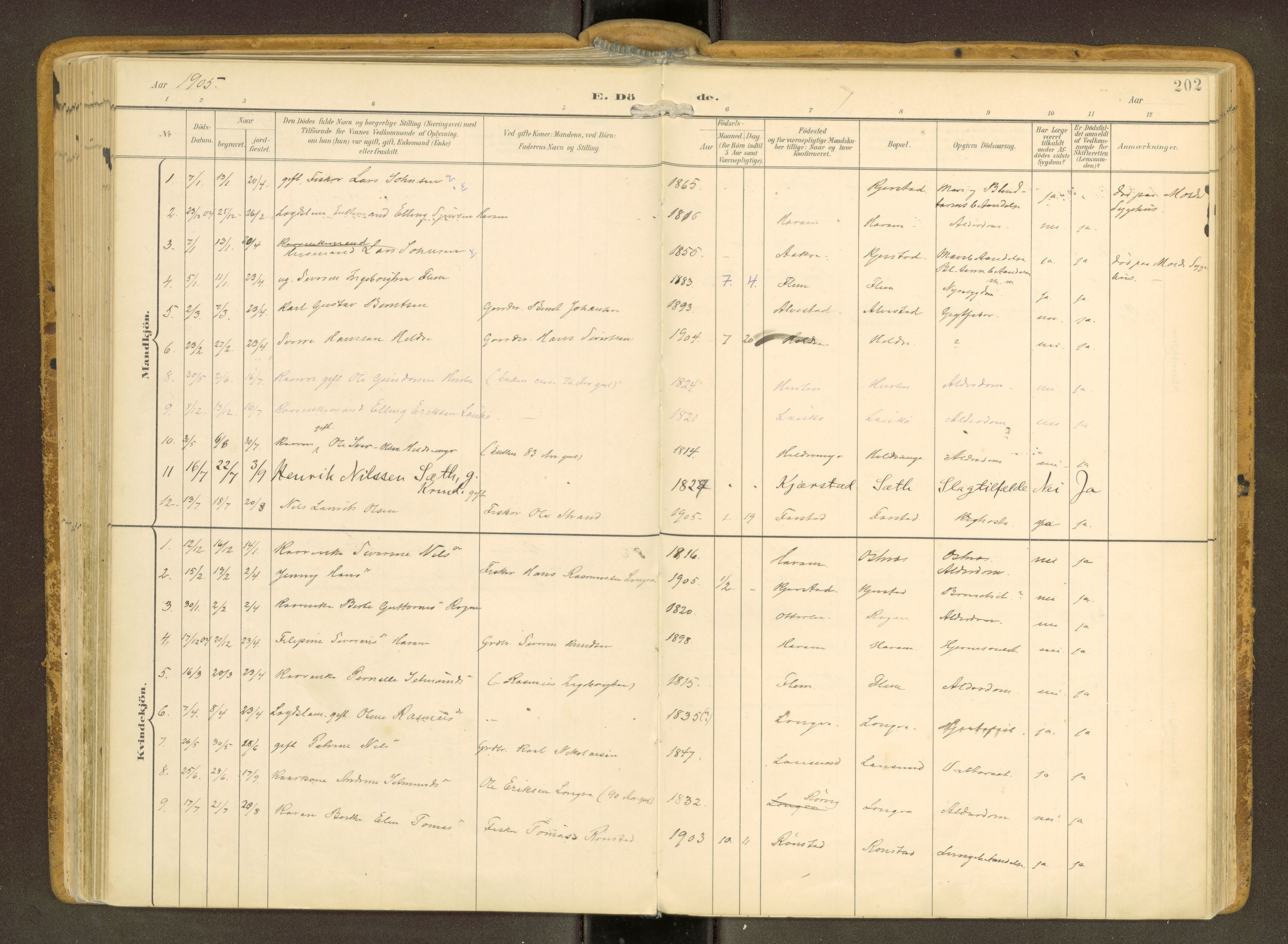 Ministerialprotokoller, klokkerbøker og fødselsregistre - Møre og Romsdal, SAT/A-1454/536/L0517: Parish register (official) no. 536A--, 1897-1917, p. 202