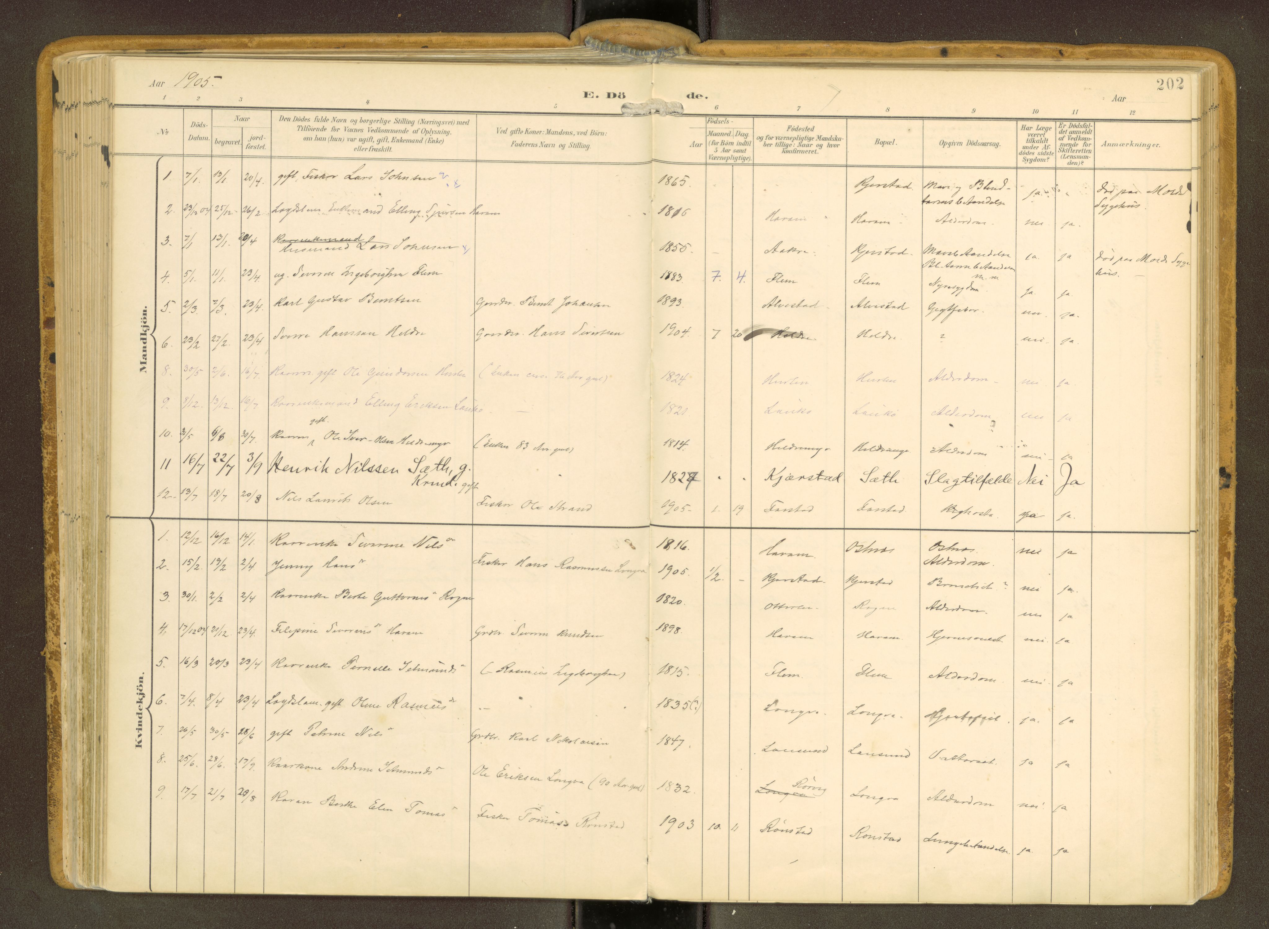 Ministerialprotokoller, klokkerbøker og fødselsregistre - Møre og Romsdal, AV/SAT-A-1454/536/L0517: Parish register (official) no. 536A--, 1897-1917, p. 202