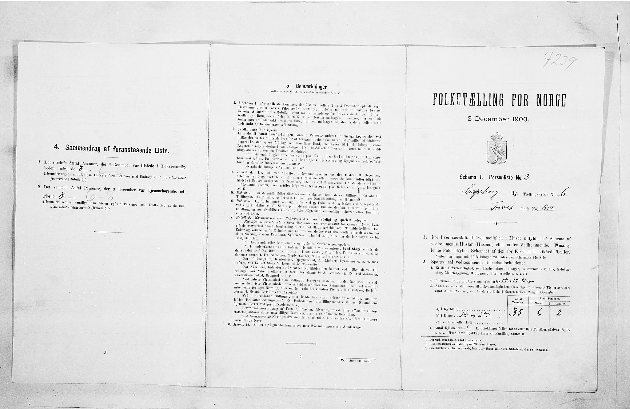 SAO, 1900 census for Sarpsborg, 1900