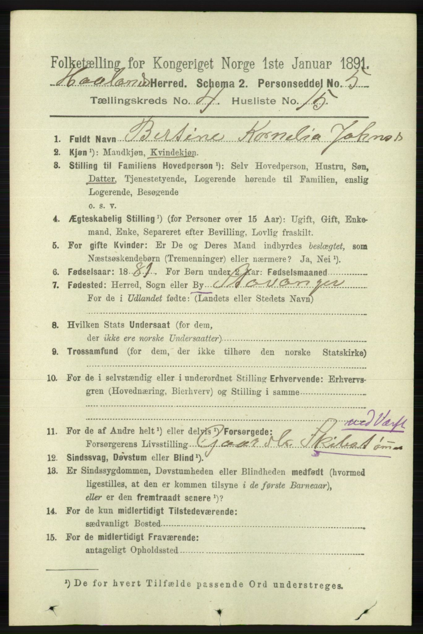 RA, 1891 census for 1124 Haaland, 1891, p. 2505