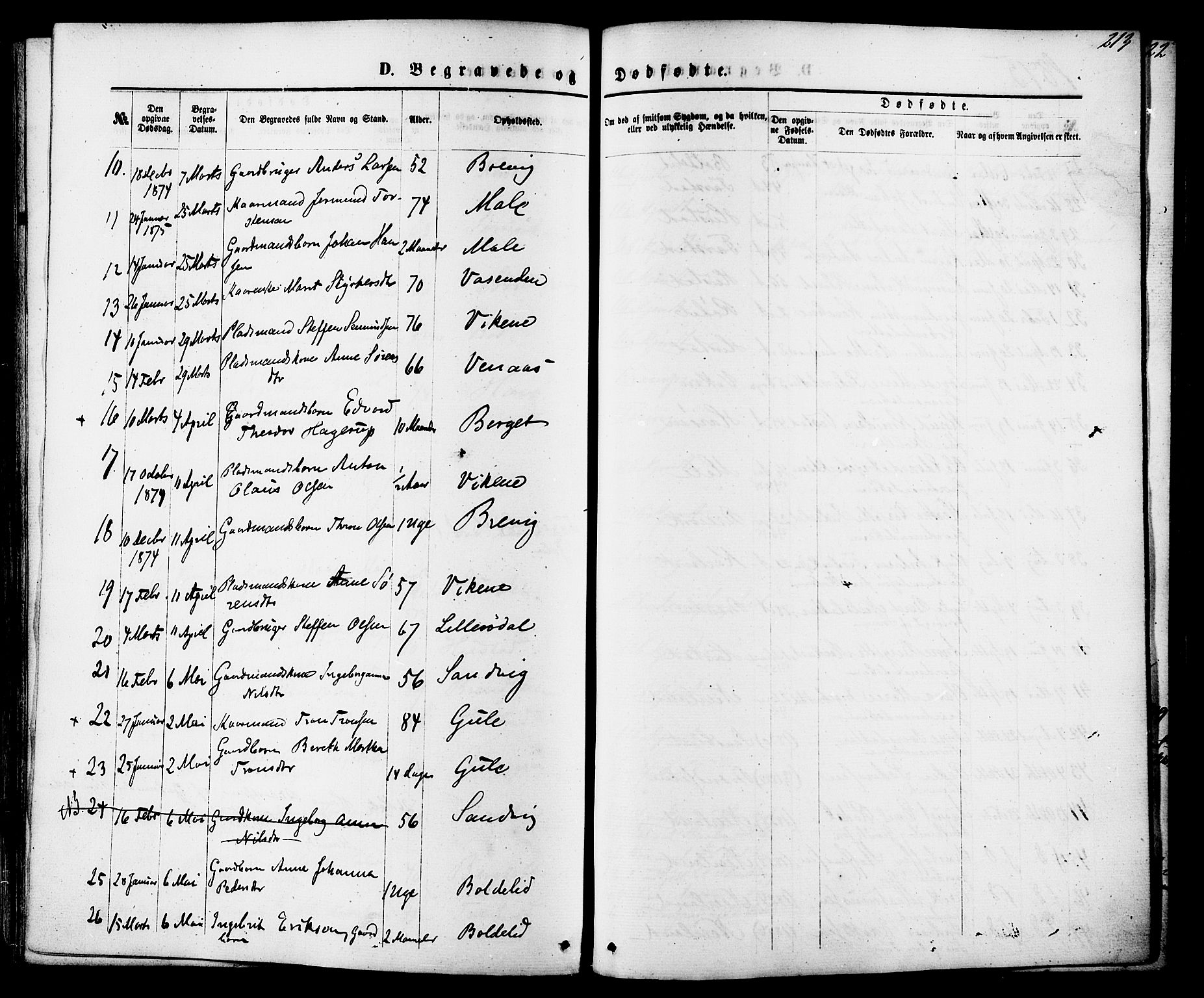 Ministerialprotokoller, klokkerbøker og fødselsregistre - Møre og Romsdal, AV/SAT-A-1454/566/L0768: Parish register (official) no. 566A07, 1869-1881, p. 213