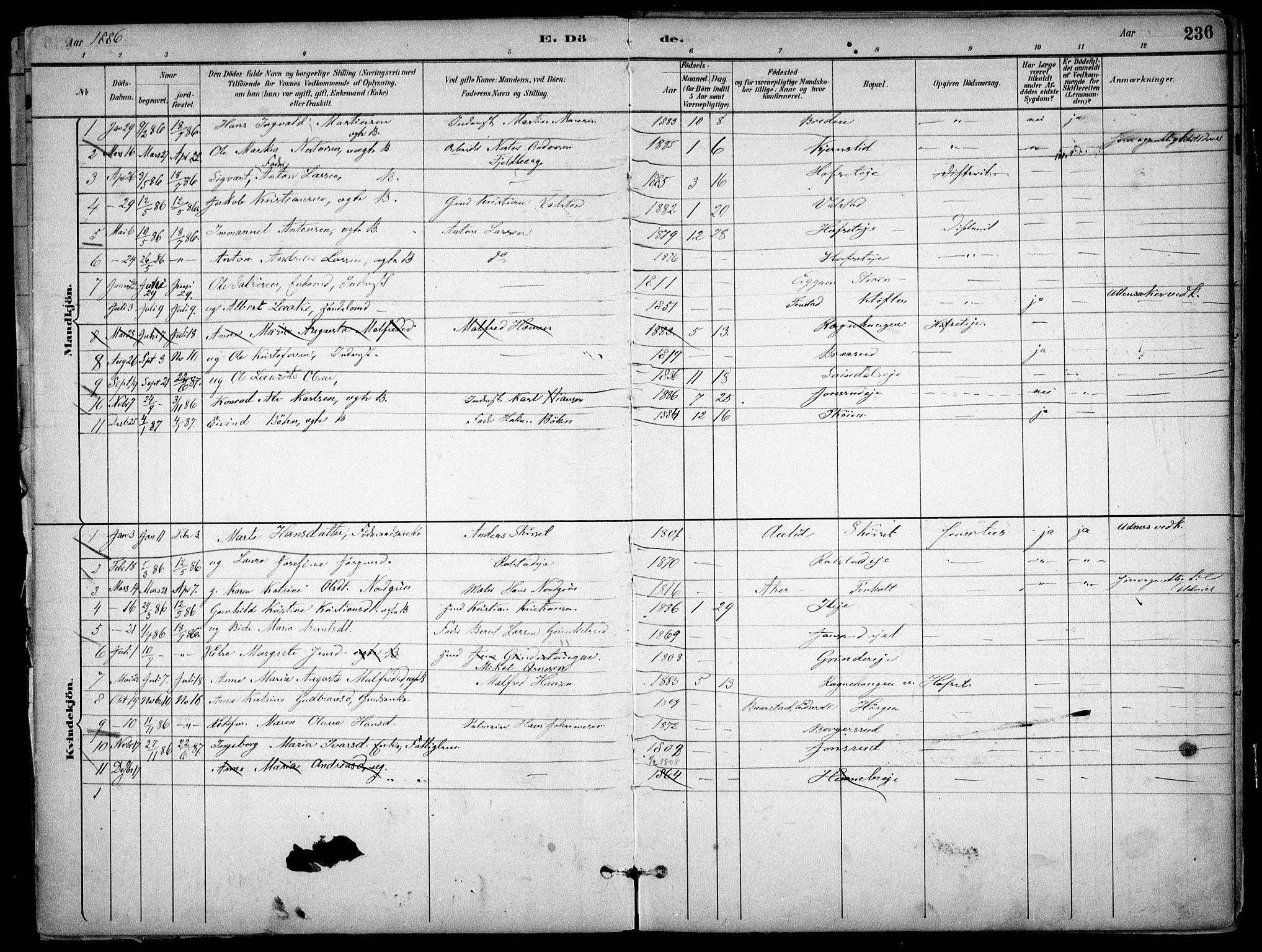 Nes prestekontor Kirkebøker, AV/SAO-A-10410/F/Fb/L0002: Parish register (official) no. II 2, 1883-1918, p. 236