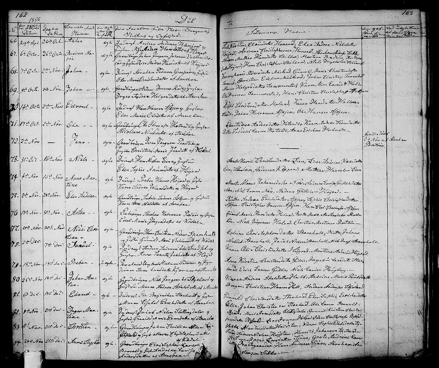 Andebu kirkebøker, AV/SAKO-A-336/G/Ga/L0003: Parish register (copy) no. I 3, 1832-1867, p. 162-163