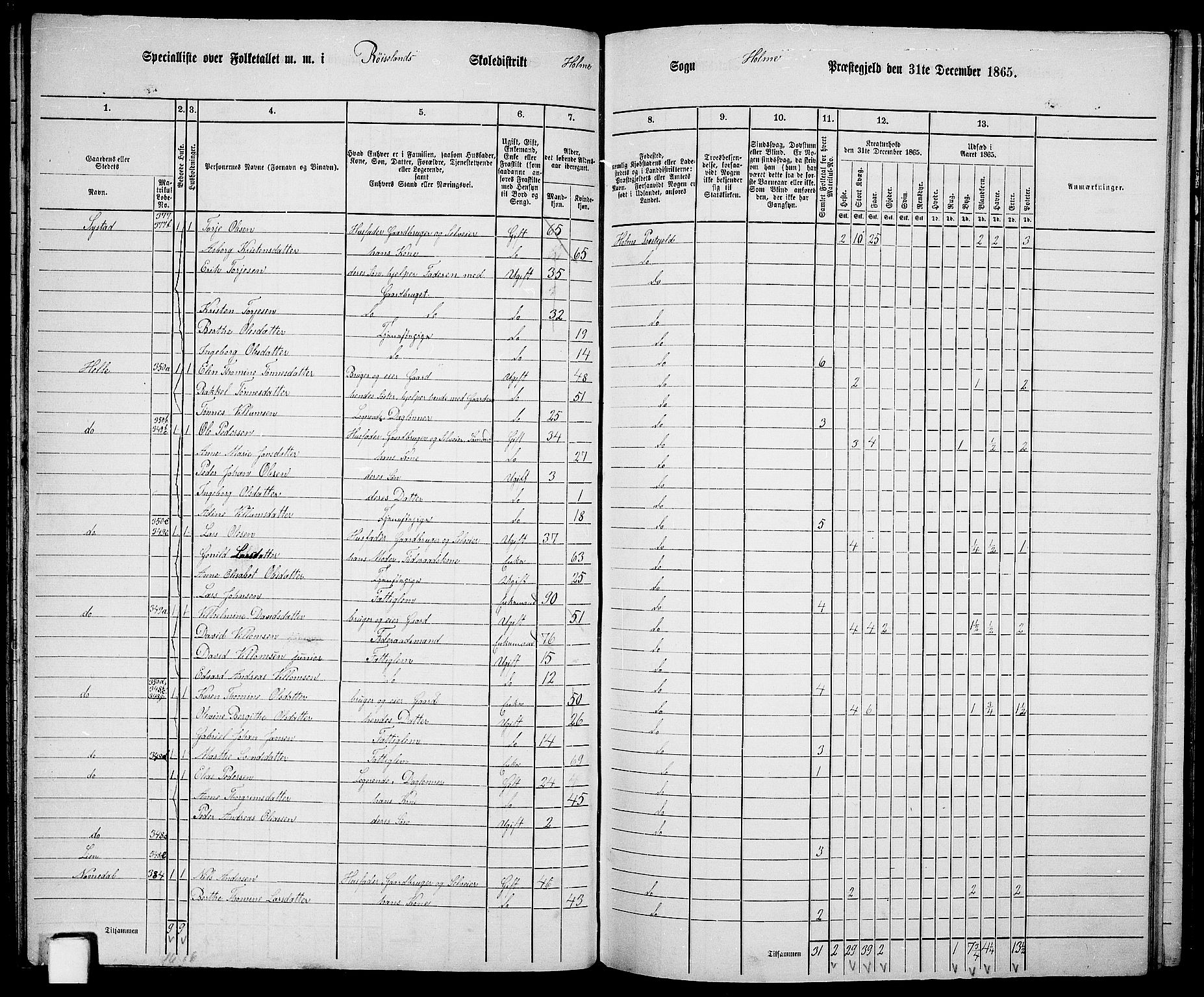 RA, 1865 census for Holum, 1865, p. 70