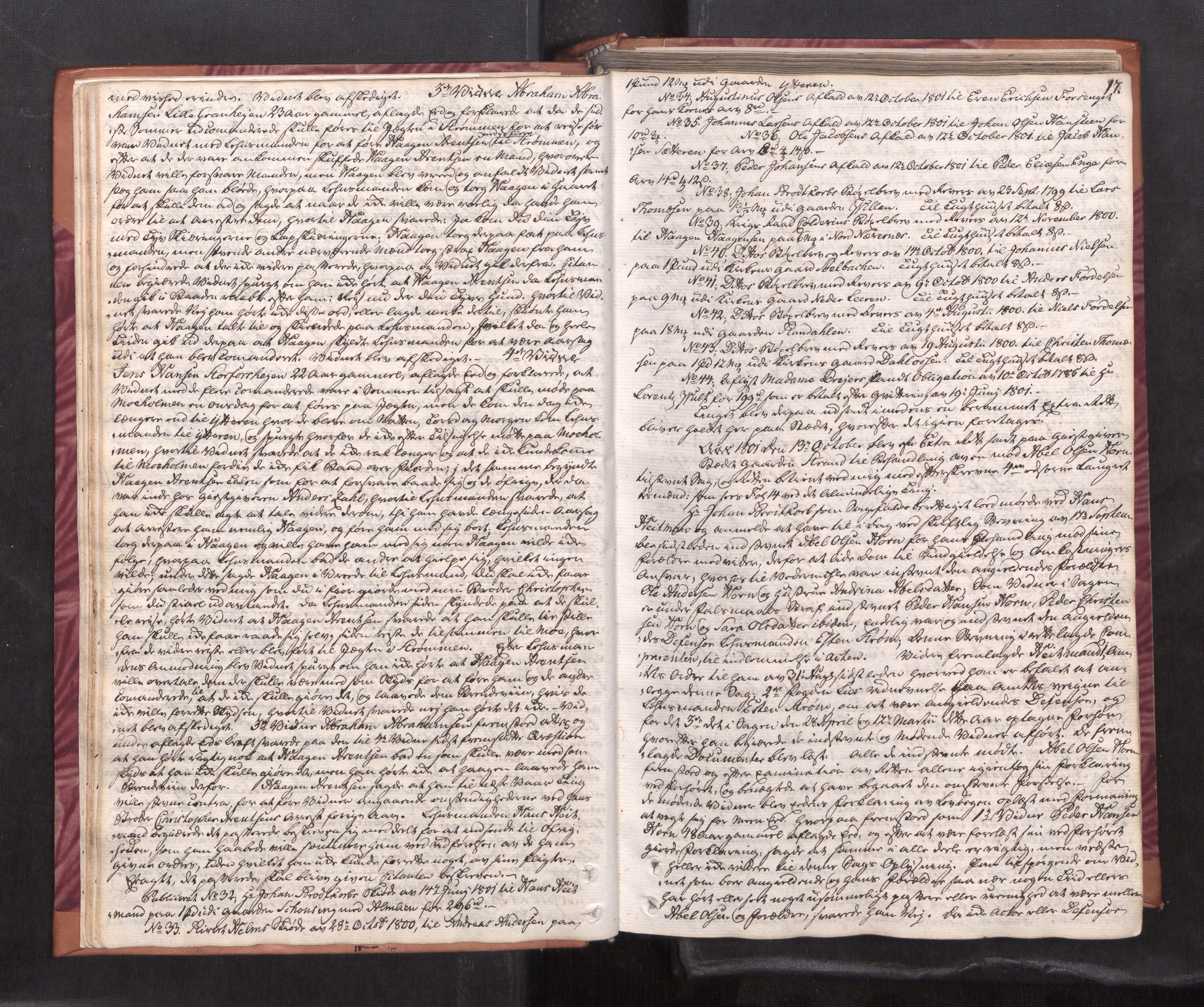 Helgeland sorenskriveri, AV/SAT-A-0004/1/1A/L0036: Tingbok 26A, 1801-1806, p. 16b-17a