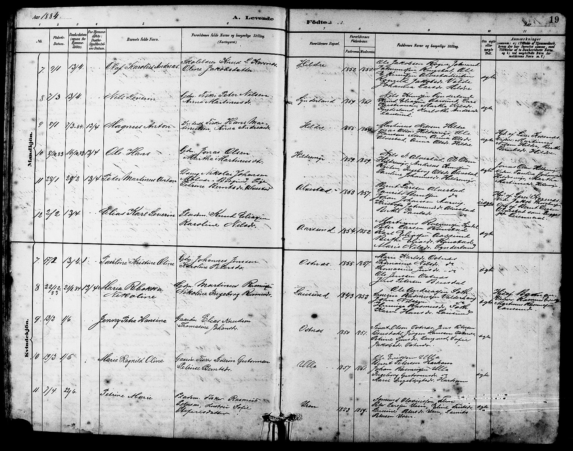 Ministerialprotokoller, klokkerbøker og fødselsregistre - Møre og Romsdal, AV/SAT-A-1454/536/L0510: Parish register (copy) no. 536C05, 1881-1898, p. 19