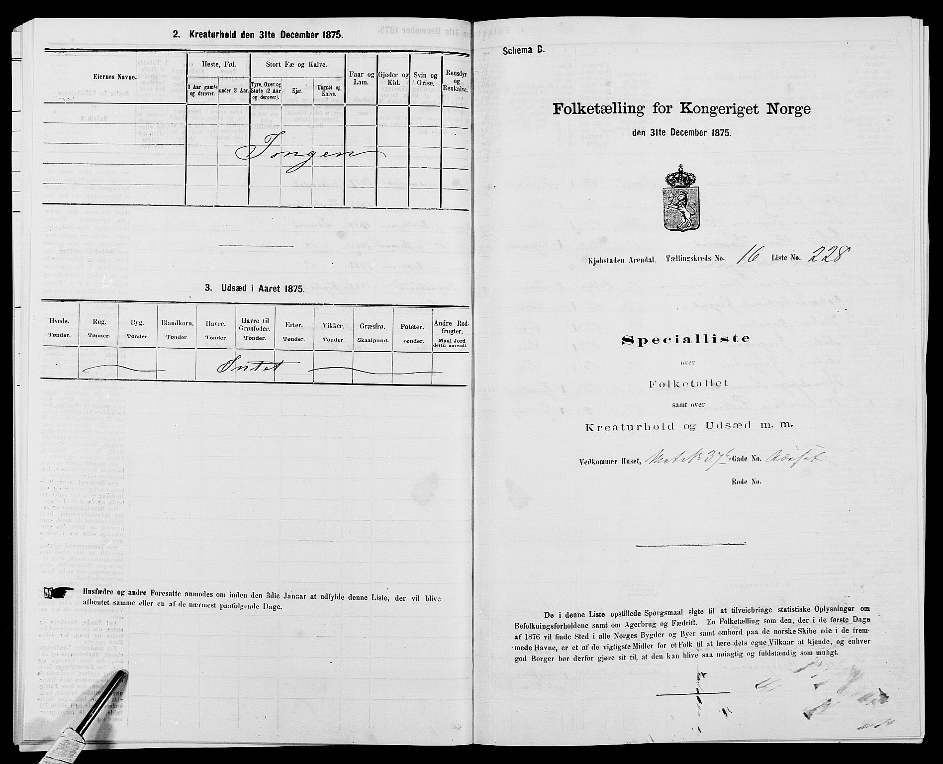 SAK, 1875 census for 0903P Arendal, 1875, p. 529