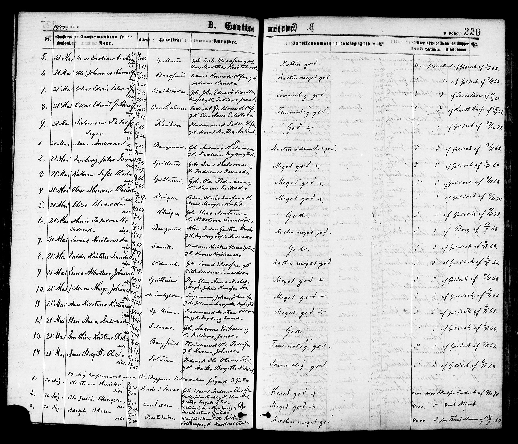 Ministerialprotokoller, klokkerbøker og fødselsregistre - Nord-Trøndelag, SAT/A-1458/768/L0572: Parish register (official) no. 768A07, 1874-1886, p. 228