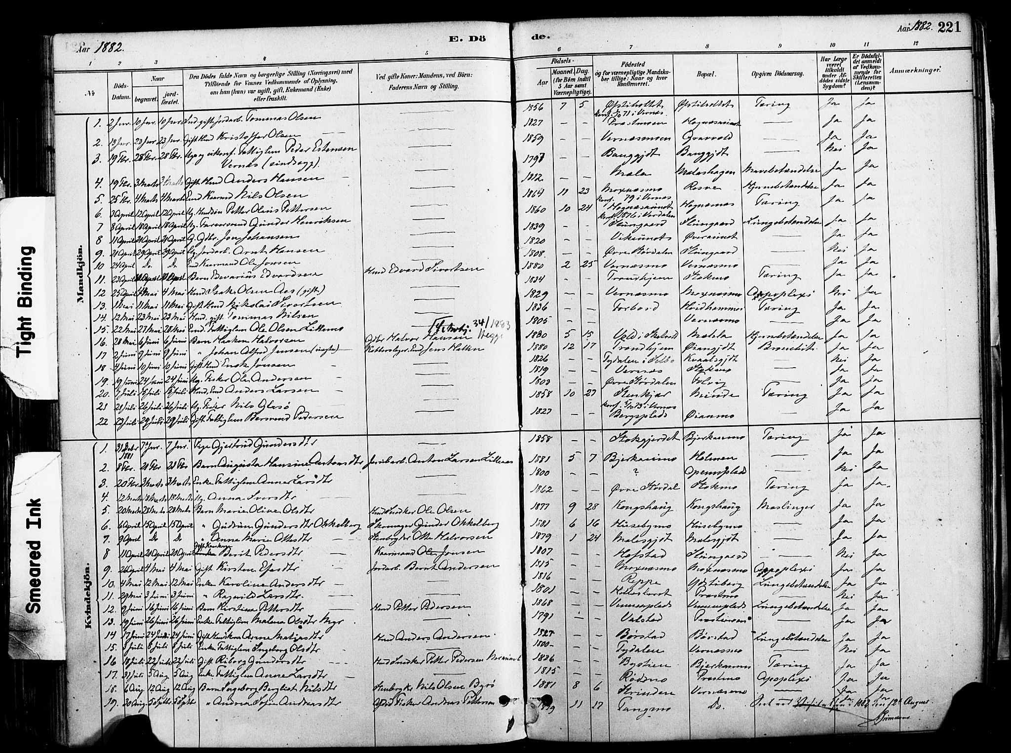 Ministerialprotokoller, klokkerbøker og fødselsregistre - Nord-Trøndelag, SAT/A-1458/709/L0077: Parish register (official) no. 709A17, 1880-1895, p. 221