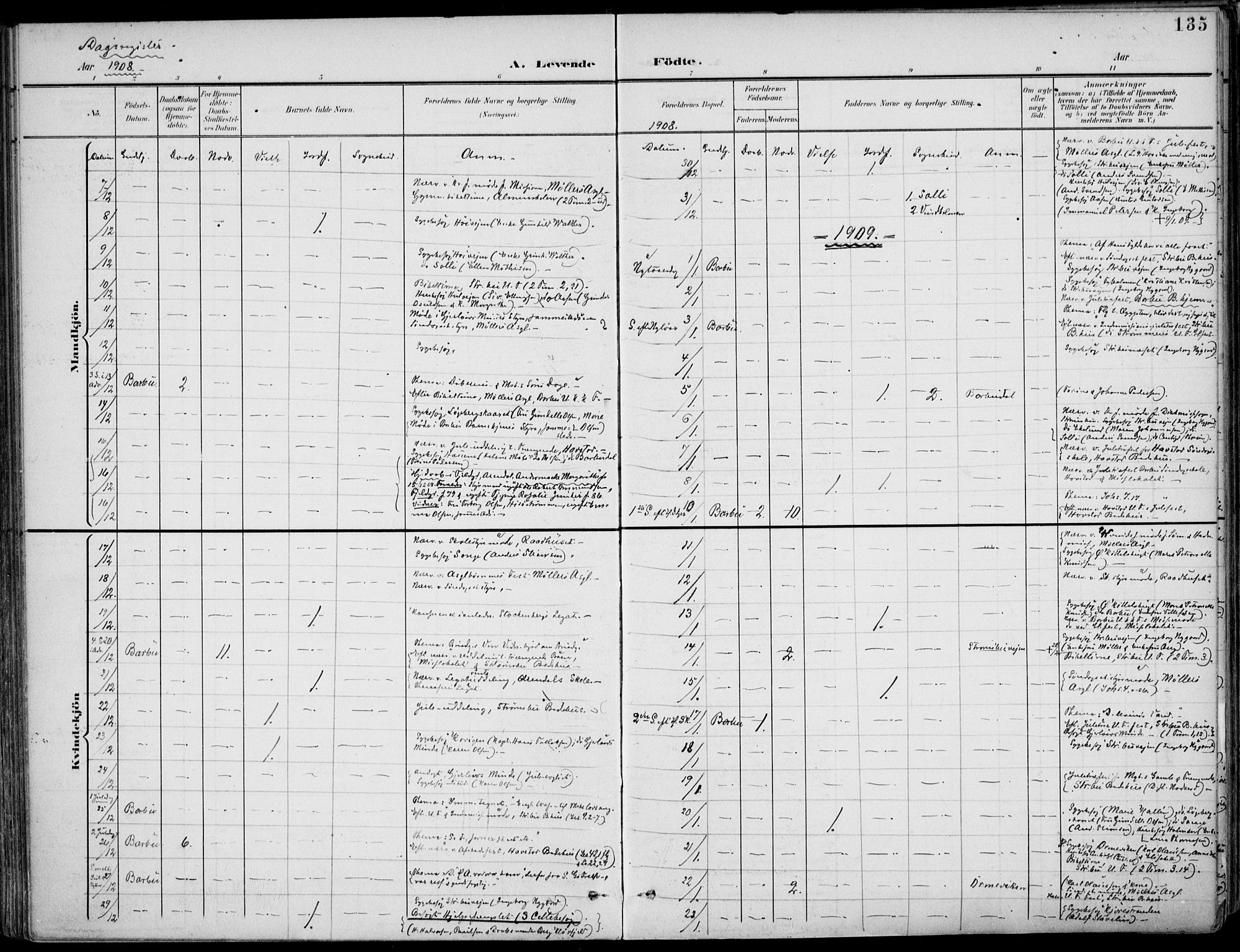 Barbu sokneprestkontor, SAK/1111-0003/F/Fa/L0005: Parish register (official) no. A 5, 1899-1909, p. 135