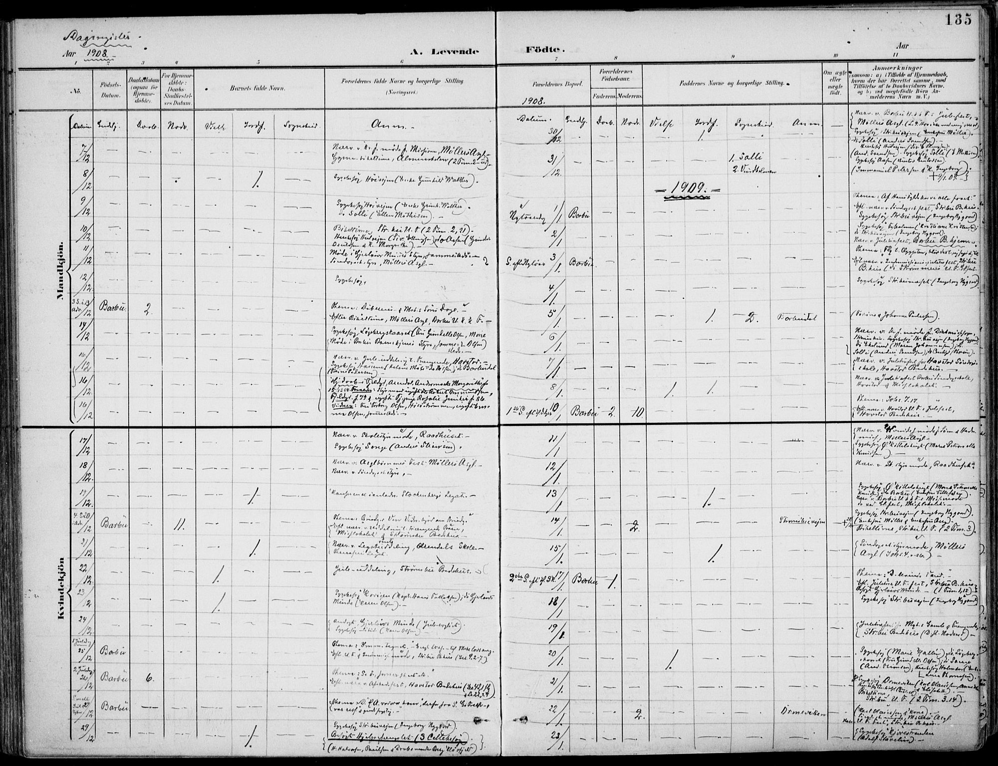 Barbu sokneprestkontor, AV/SAK-1111-0003/F/Fa/L0005: Parish register (official) no. A 5, 1899-1909, p. 135