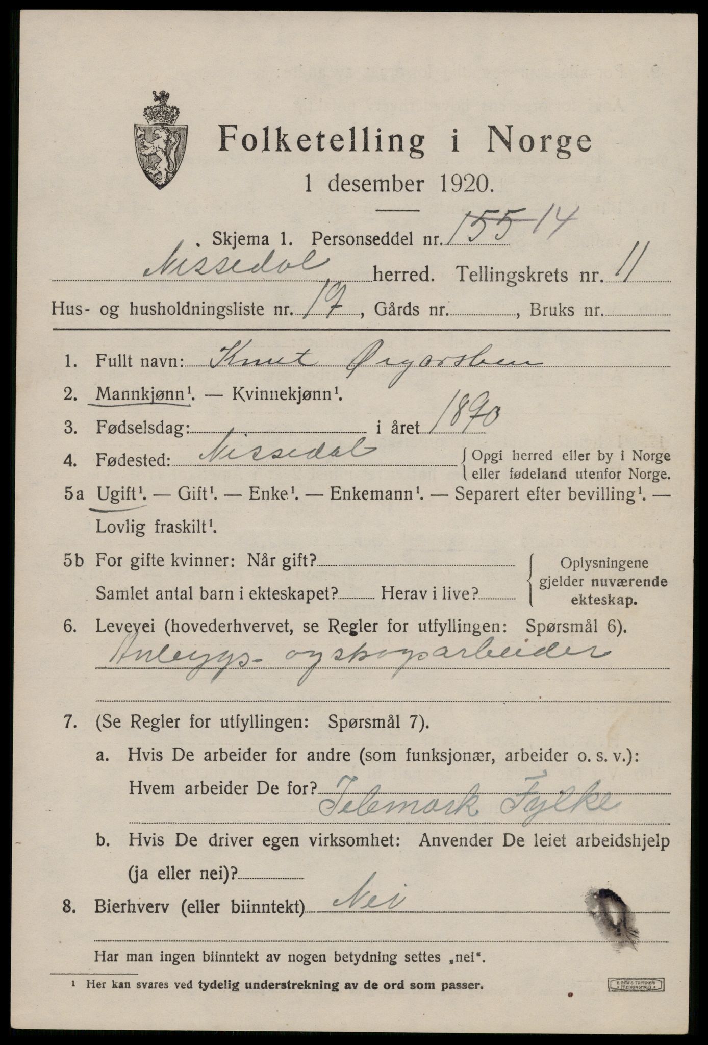 SAKO, 1920 census for Nissedal, 1920, p. 4705