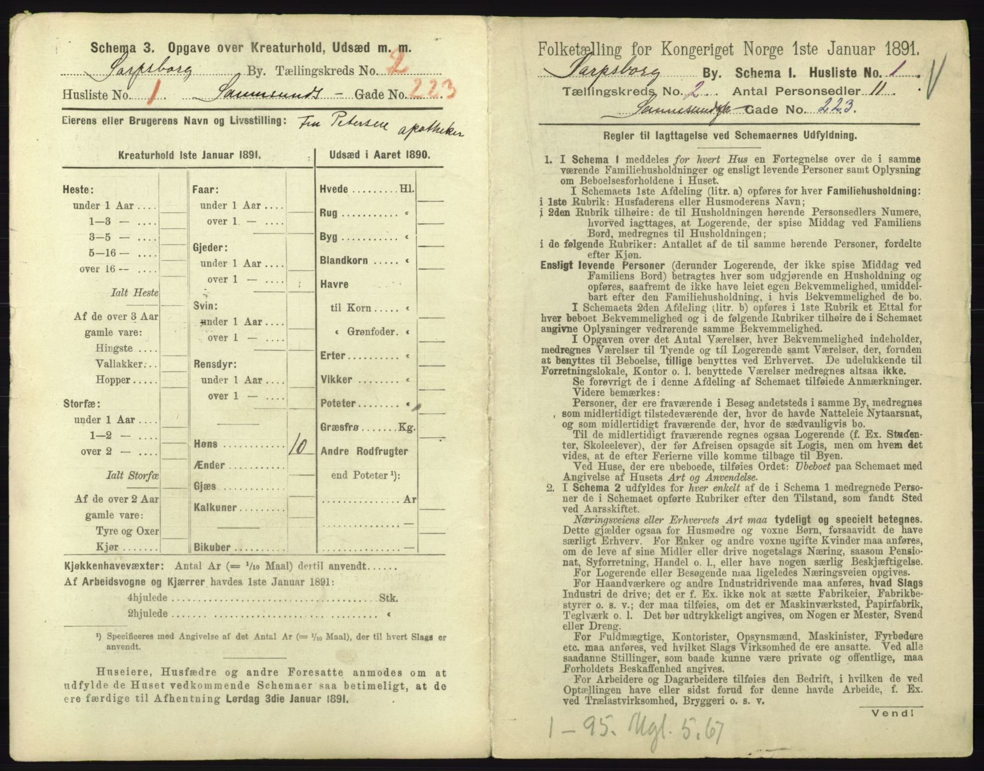 RA, 1891 census for 0102 Sarpsborg, 1891, p. 1071