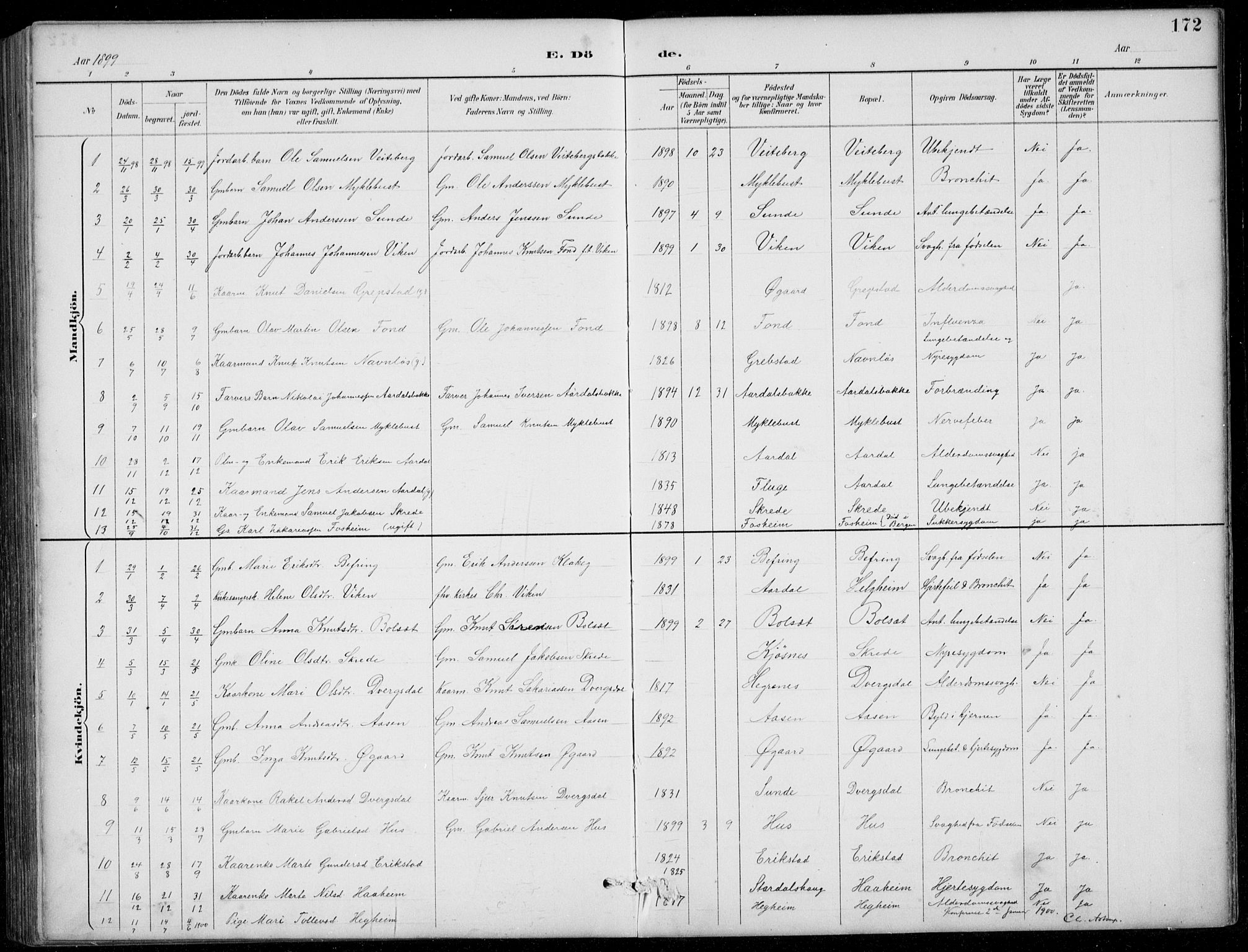 Jølster sokneprestembete, SAB/A-80701/H/Hab/Habb/L0002: Parish register (copy) no. B 2, 1887-1920, p. 172