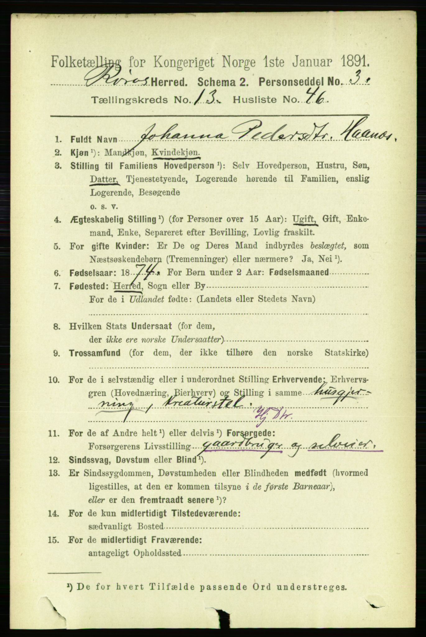 RA, 1891 census for 1640 Røros, 1891, p. 2799