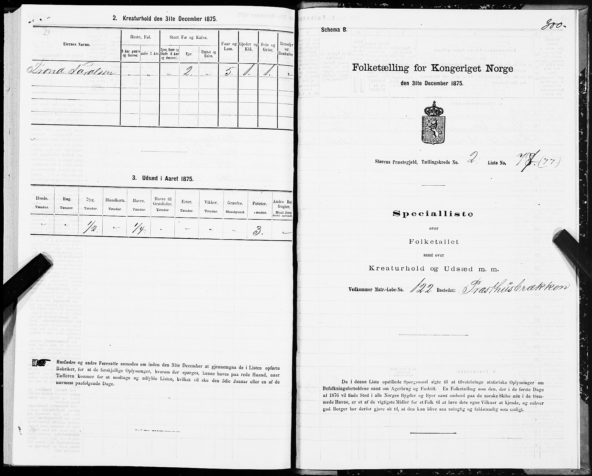 SAT, 1875 census for 1648P Støren, 1875, p. 7300