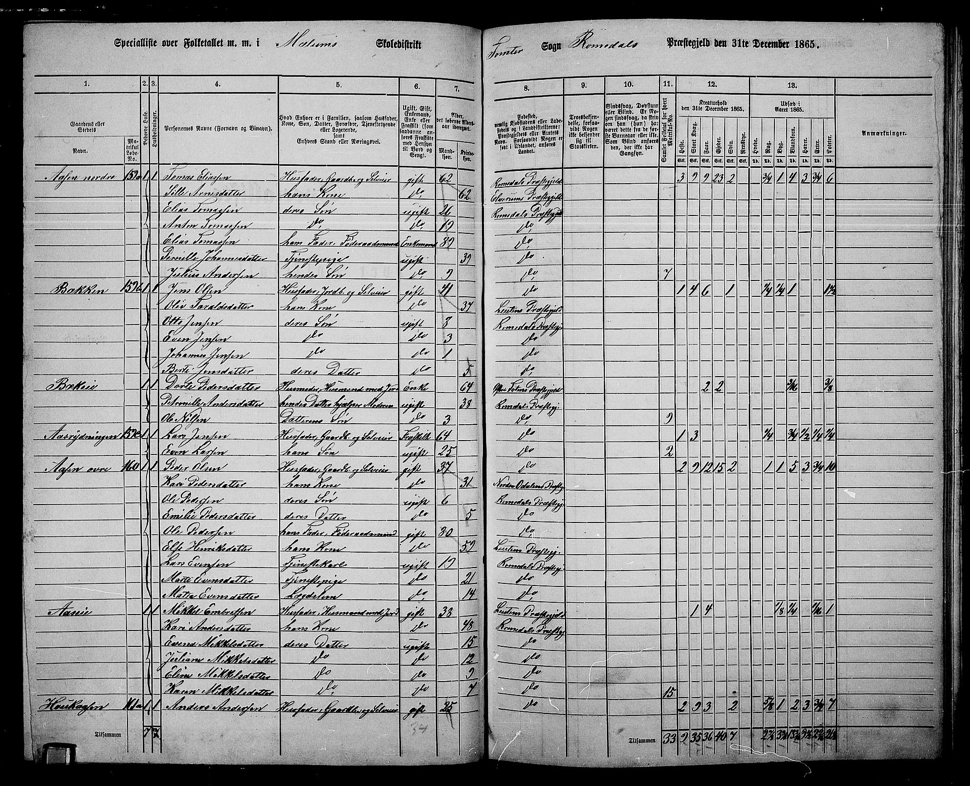 RA, 1865 census for Romedal, 1865, p. 142