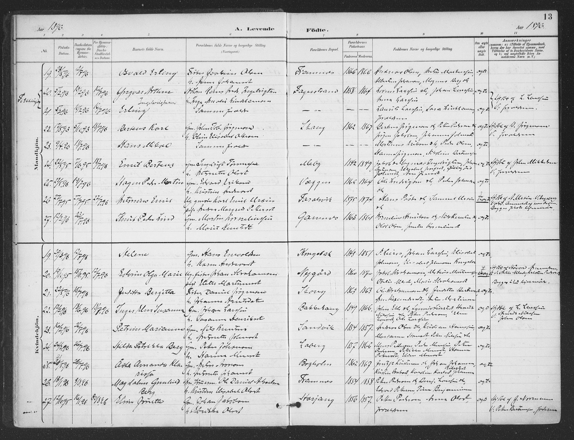 Ministerialprotokoller, klokkerbøker og fødselsregistre - Nordland, AV/SAT-A-1459/866/L0939: Parish register (official) no. 866A02, 1894-1906, p. 13