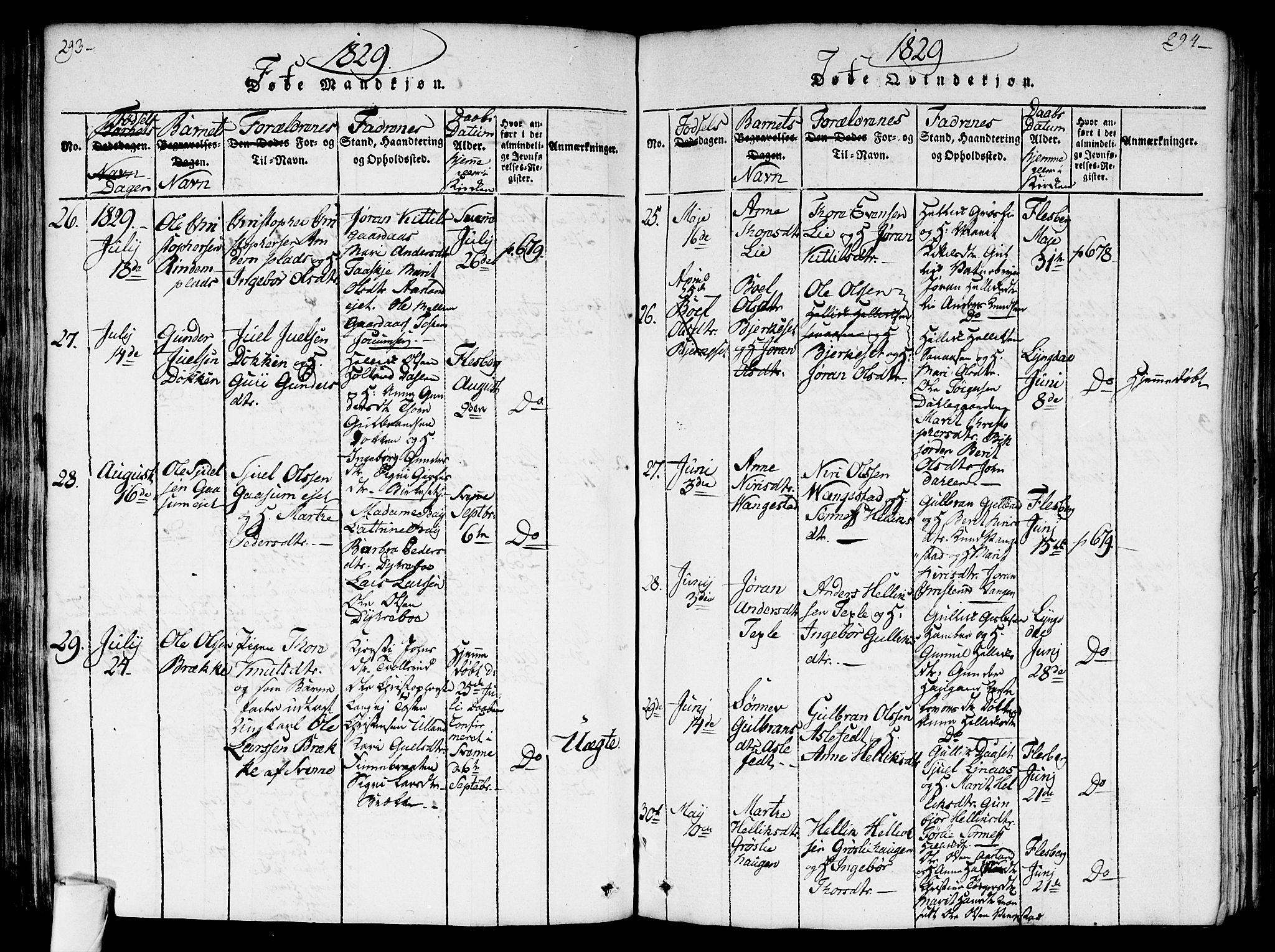 Flesberg kirkebøker, AV/SAKO-A-18/G/Ga/L0001: Parish register (copy) no. I 1, 1816-1834, p. 293-294