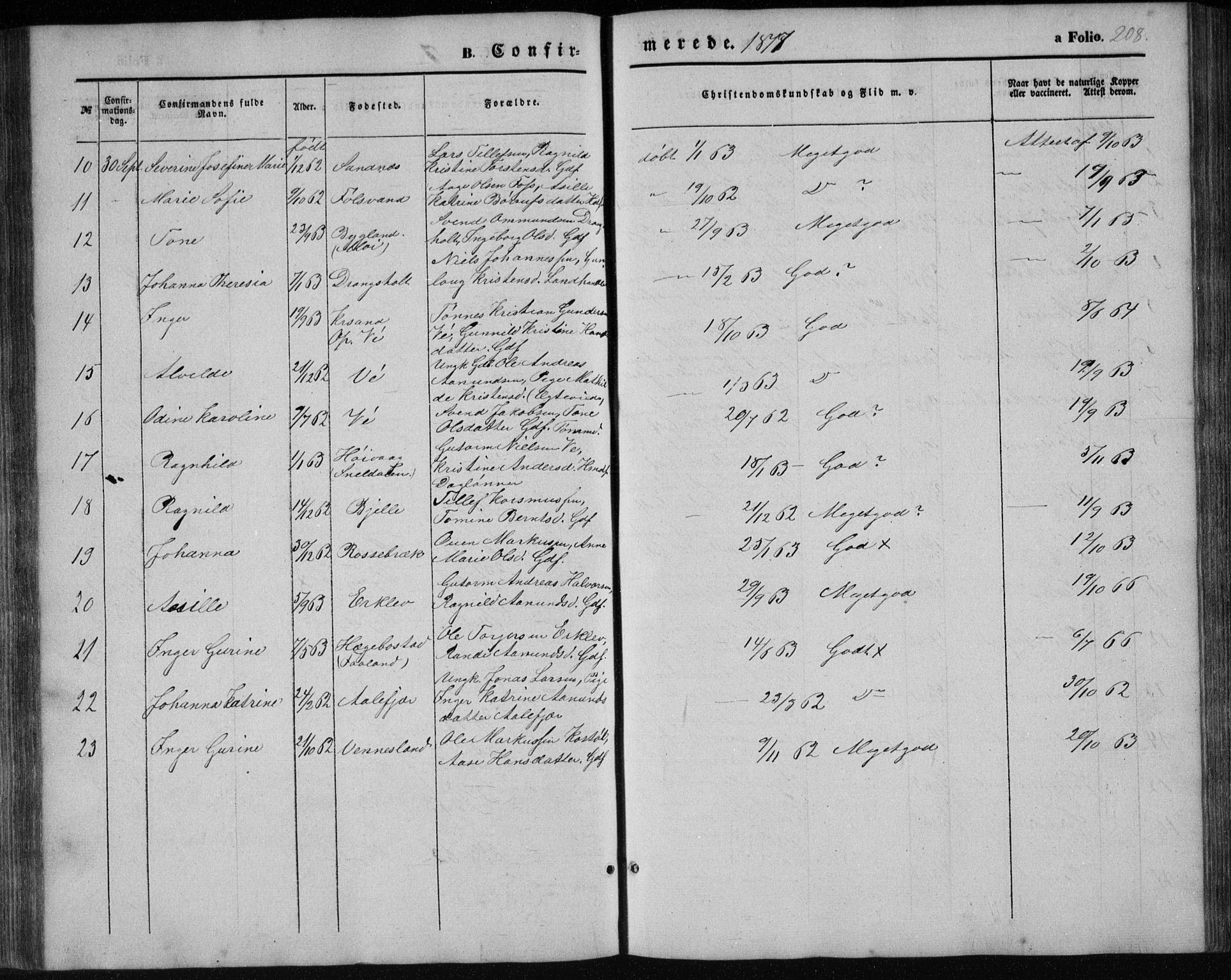 Tveit sokneprestkontor, AV/SAK-1111-0043/F/Fb/L0003: Parish register (copy) no. B 3, 1854-1886, p. 208