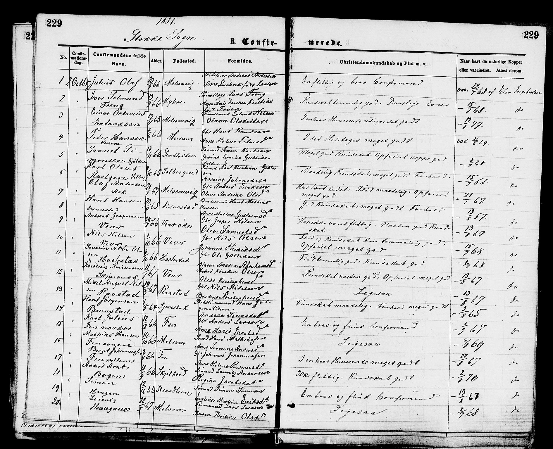 Stokke kirkebøker, SAKO/A-320/F/Fa/L0009: Parish register (official) no. I 9, 1872-1883, p. 229