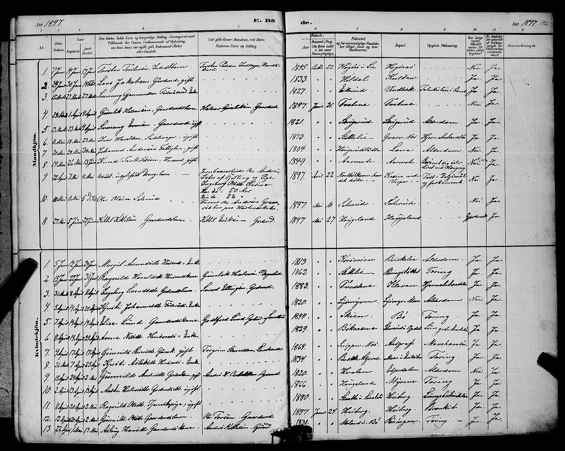 Bø kirkebøker, SAKO/A-257/G/Ga/L0005: Parish register (copy) no. 5, 1883-1897, p. 196