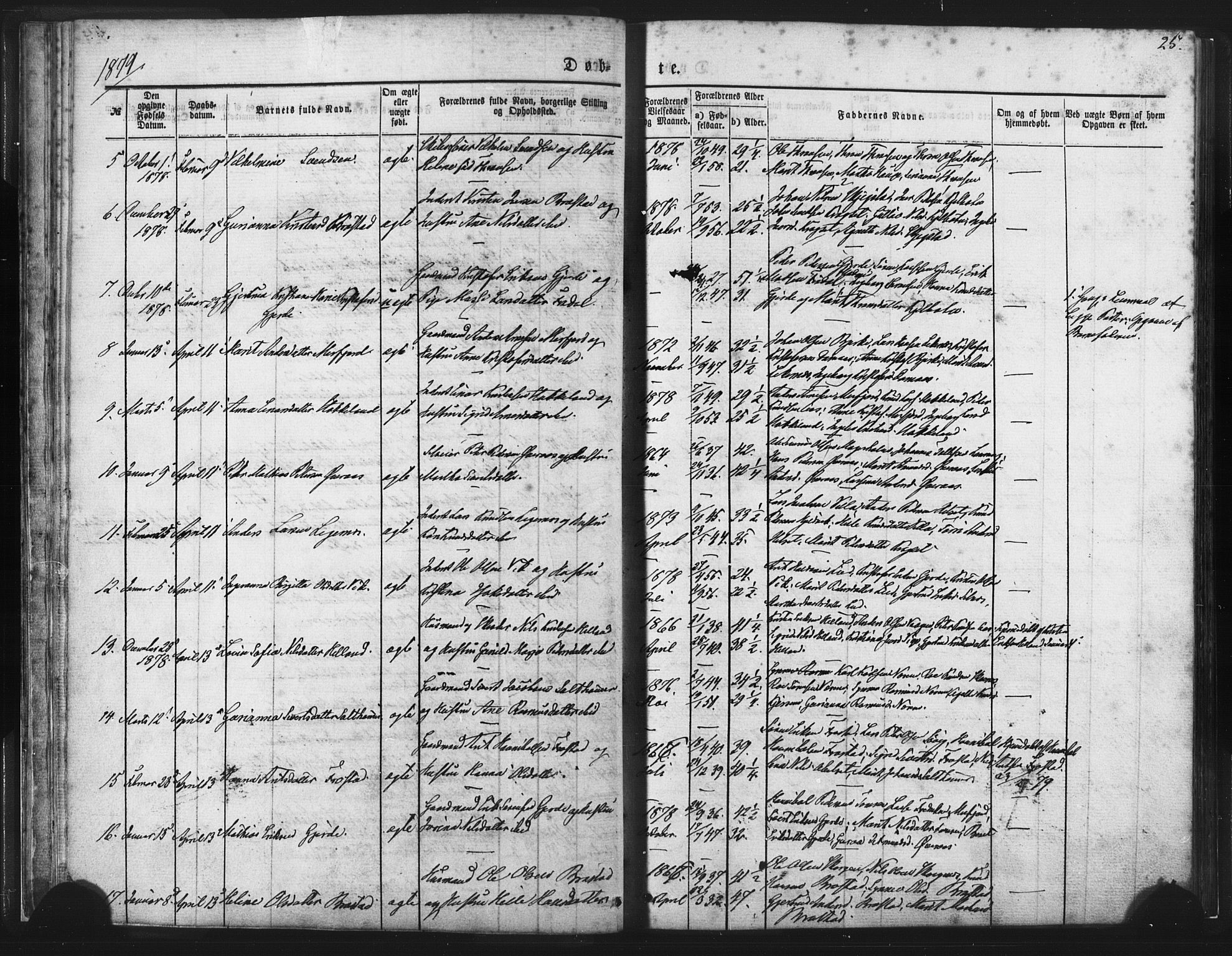 Ministerialprotokoller, klokkerbøker og fødselsregistre - Møre og Romsdal, AV/SAT-A-1454/539/L0530: Parish register (official) no. 539A03, 1872-1886, p. 25