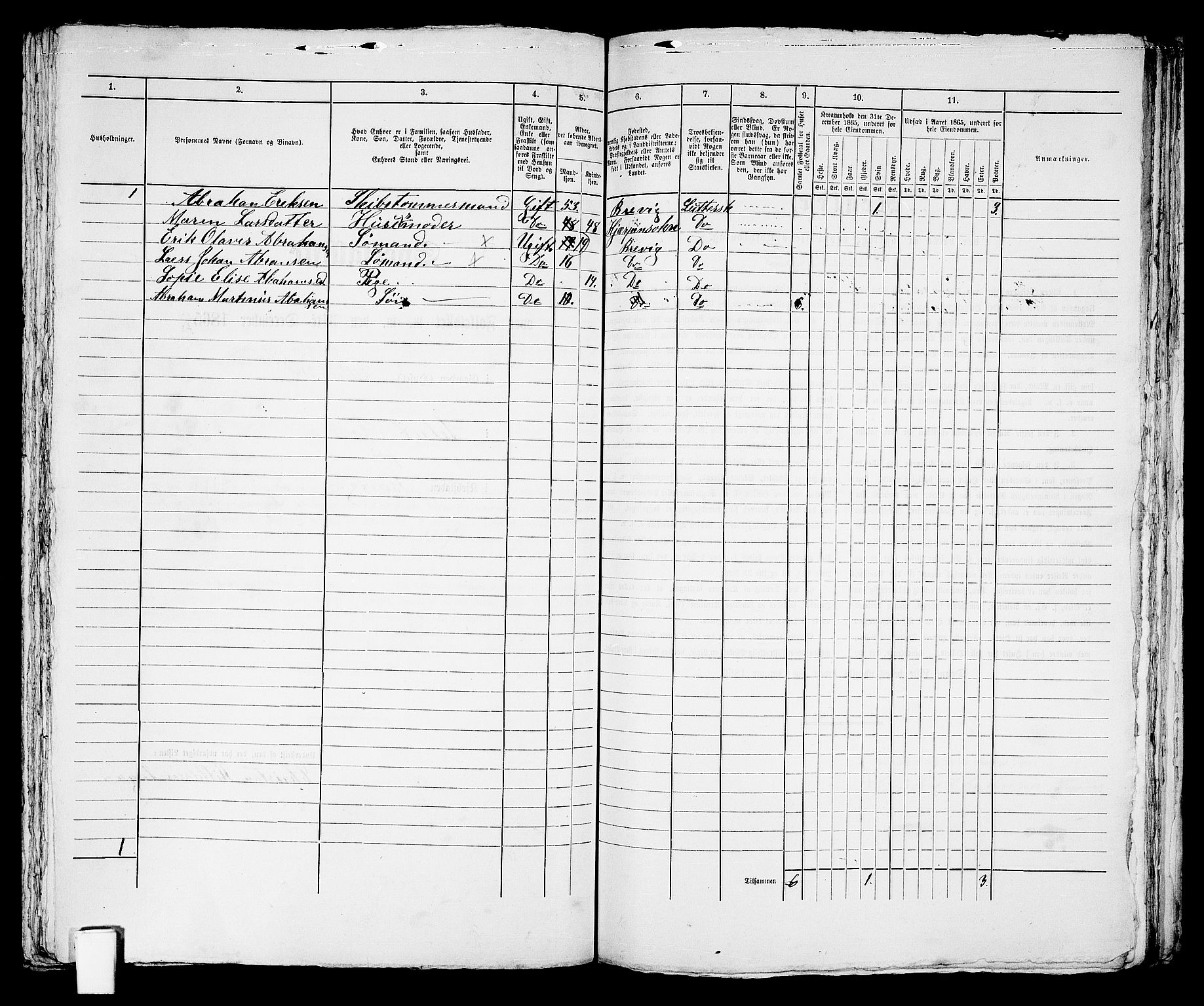 RA, 1865 census for Brevik, 1865, p. 289