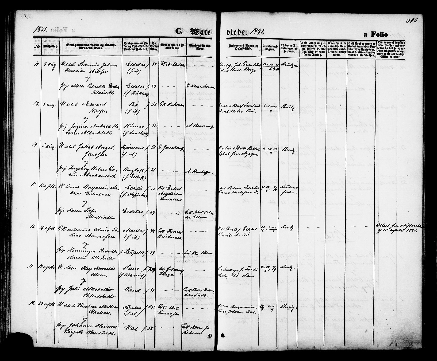 Ministerialprotokoller, klokkerbøker og fødselsregistre - Nordland, SAT/A-1459/880/L1132: Parish register (official) no. 880A06, 1869-1887, p. 310