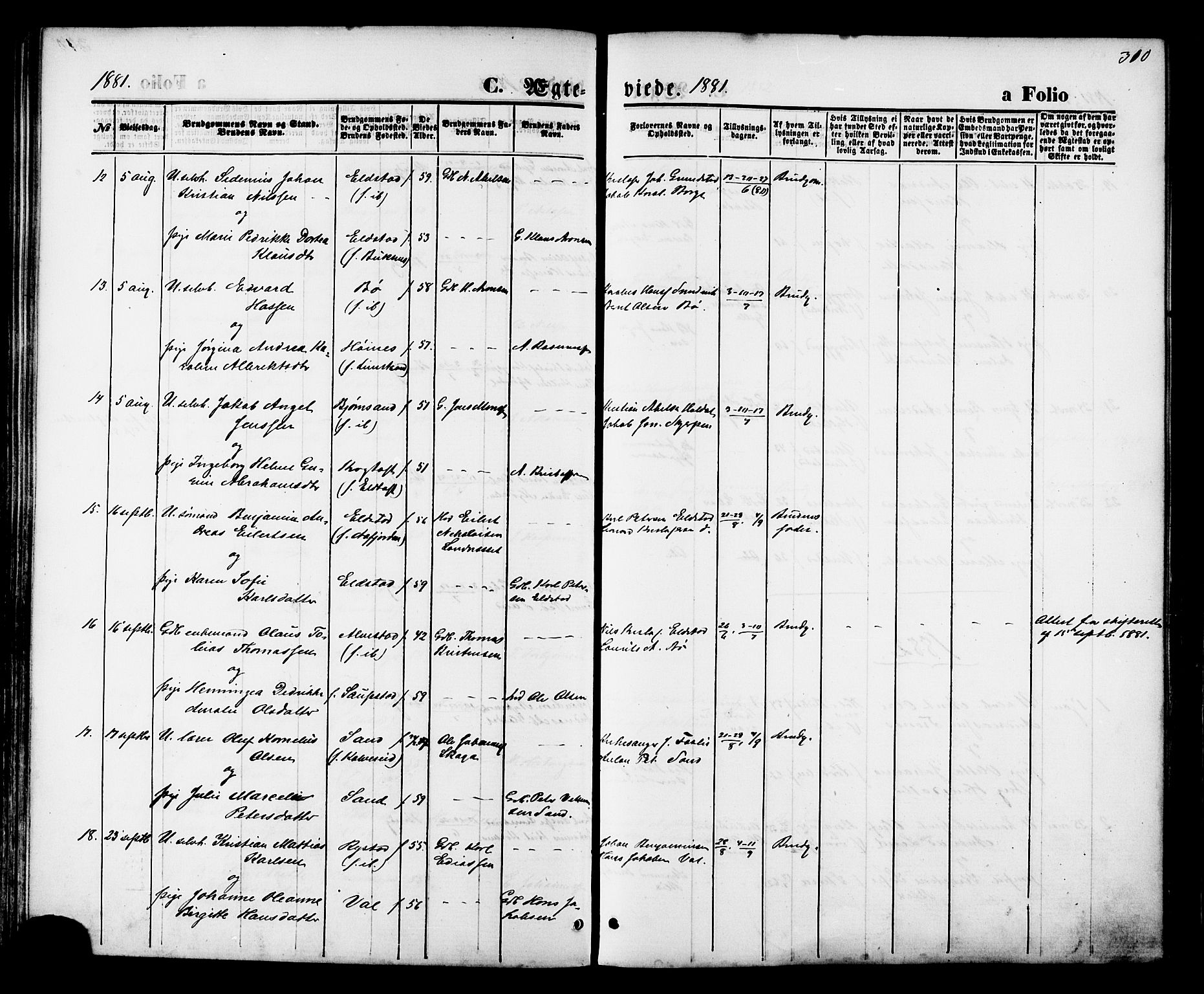 Ministerialprotokoller, klokkerbøker og fødselsregistre - Nordland, AV/SAT-A-1459/880/L1132: Parish register (official) no. 880A06, 1869-1887, p. 310