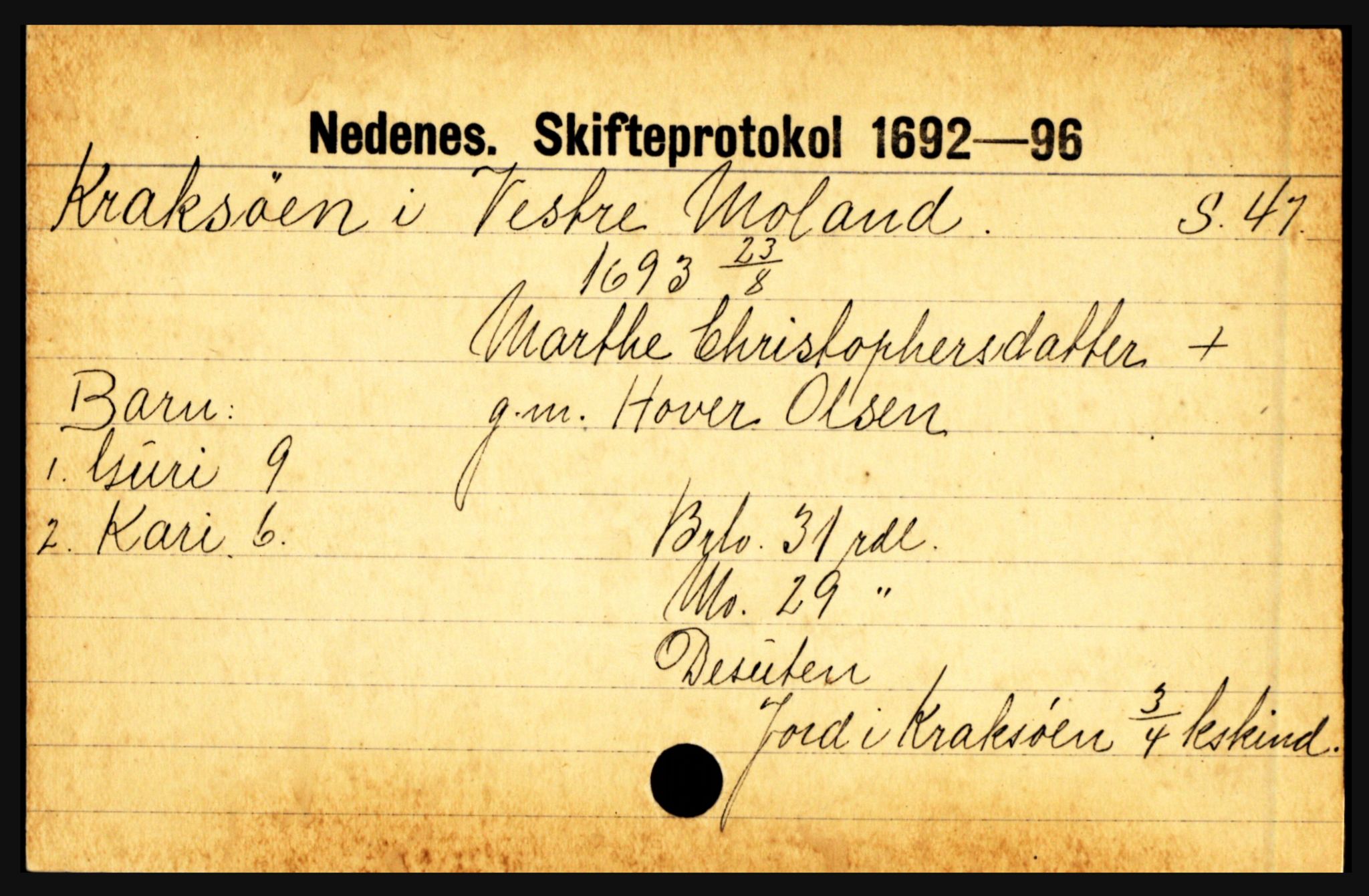 Nedenes sorenskriveri før 1824, AV/SAK-1221-0007/H, p. 15889