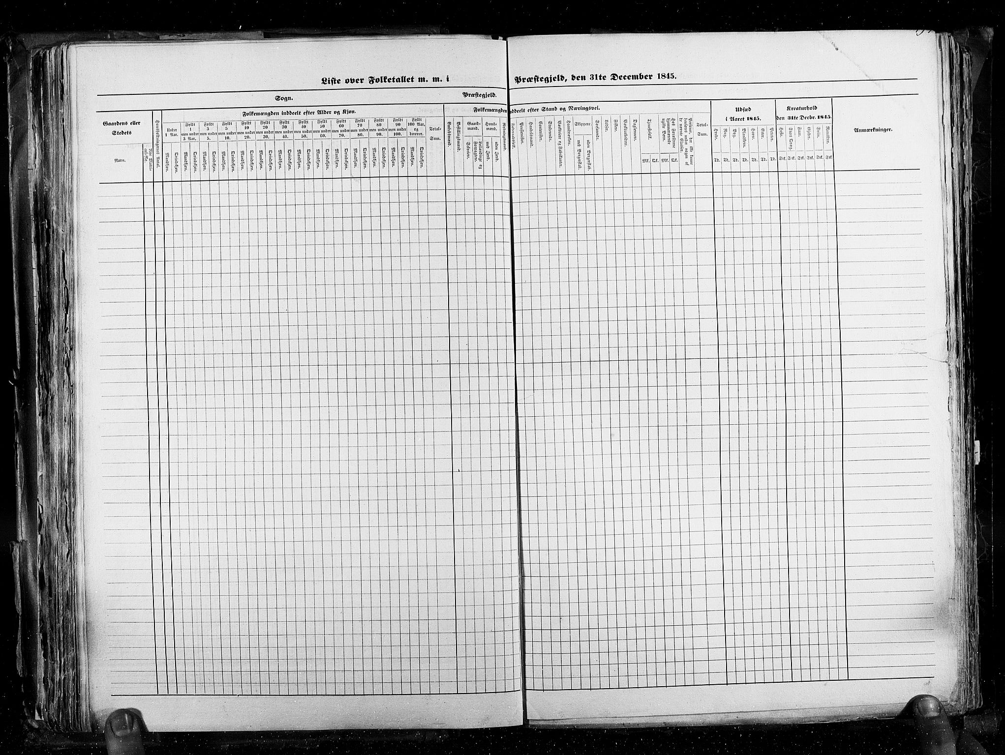 RA, Census 1845, vol. 3: Hedemarken amt og Kristians amt, 1845, p. 193