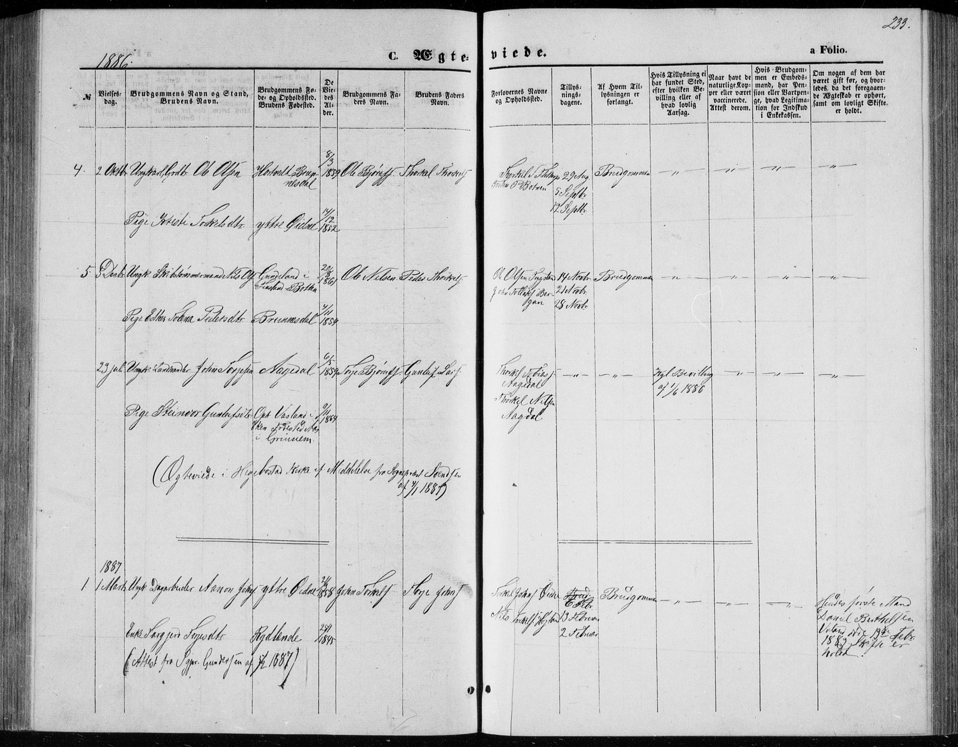 Bjelland sokneprestkontor, SAK/1111-0005/F/Fb/Fbc/L0002: Parish register (copy) no. B 2, 1867-1887, p. 233