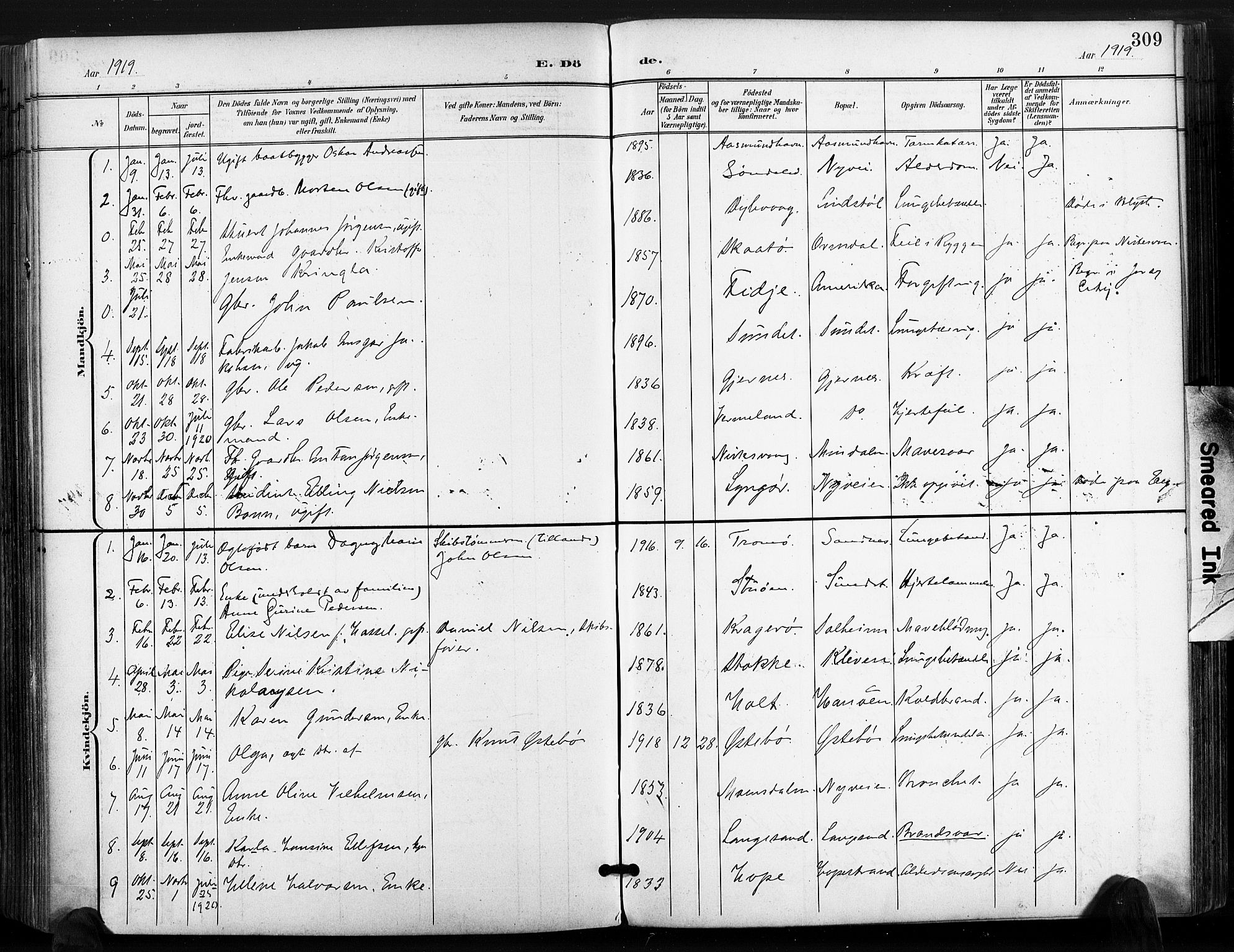 Søndeled sokneprestkontor, AV/SAK-1111-0038/F/Fa/L0006: Parish register (official) no. A 6, 1900-1922, p. 309