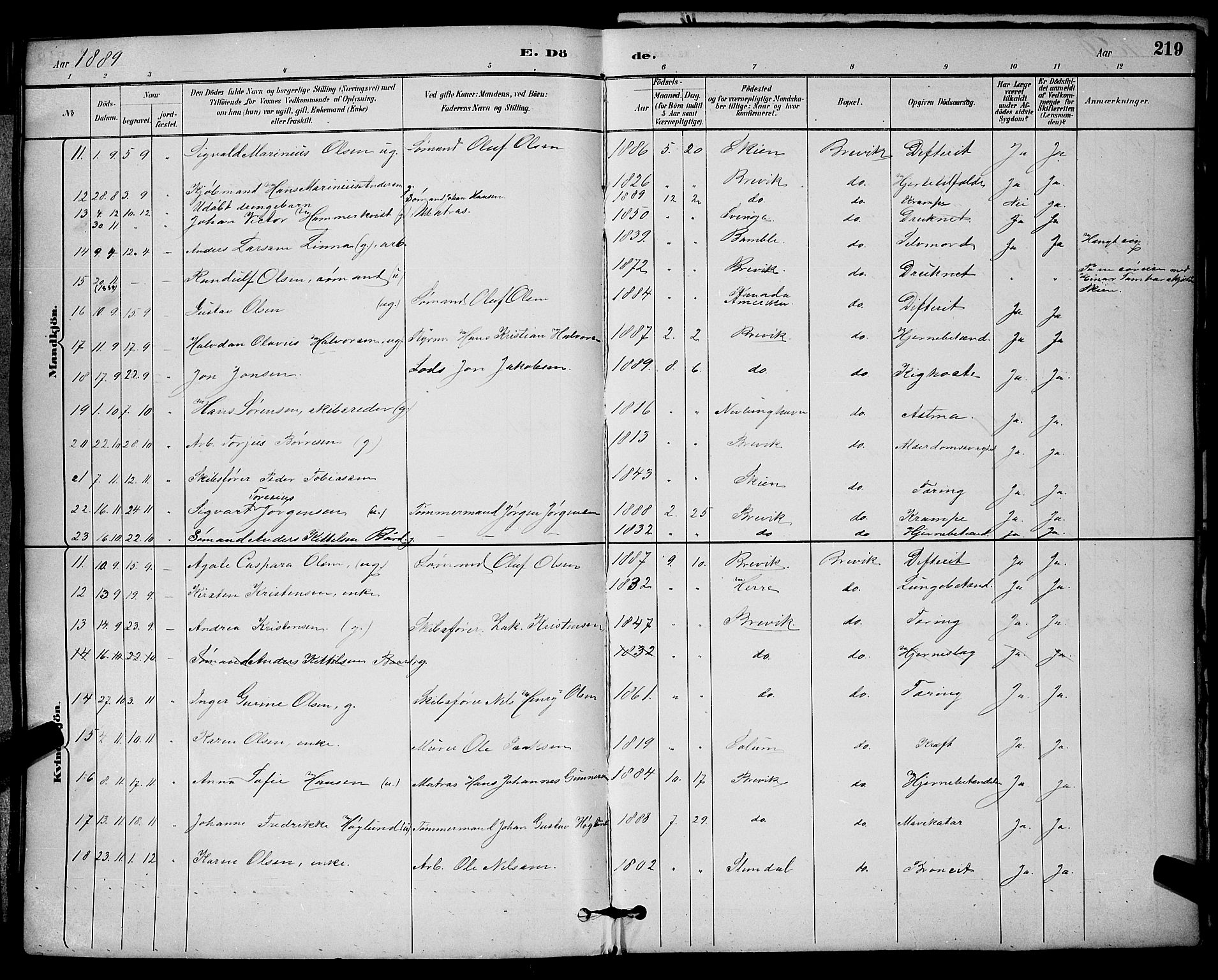 Brevik kirkebøker, SAKO/A-255/G/Ga/L0004: Parish register (copy) no. 4, 1882-1900, p. 219