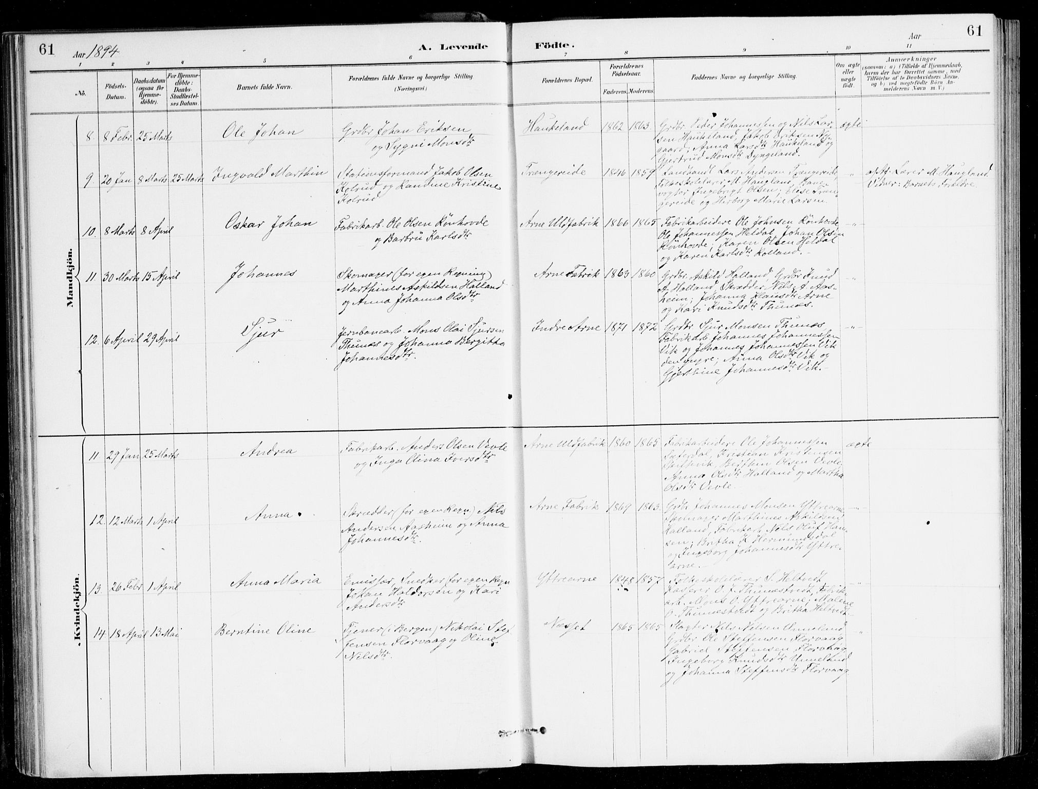 Haus sokneprestembete, AV/SAB-A-75601/H/Haa/Haad/L0001: Parish register (official) no. D 1, 1887-1898, p. 61